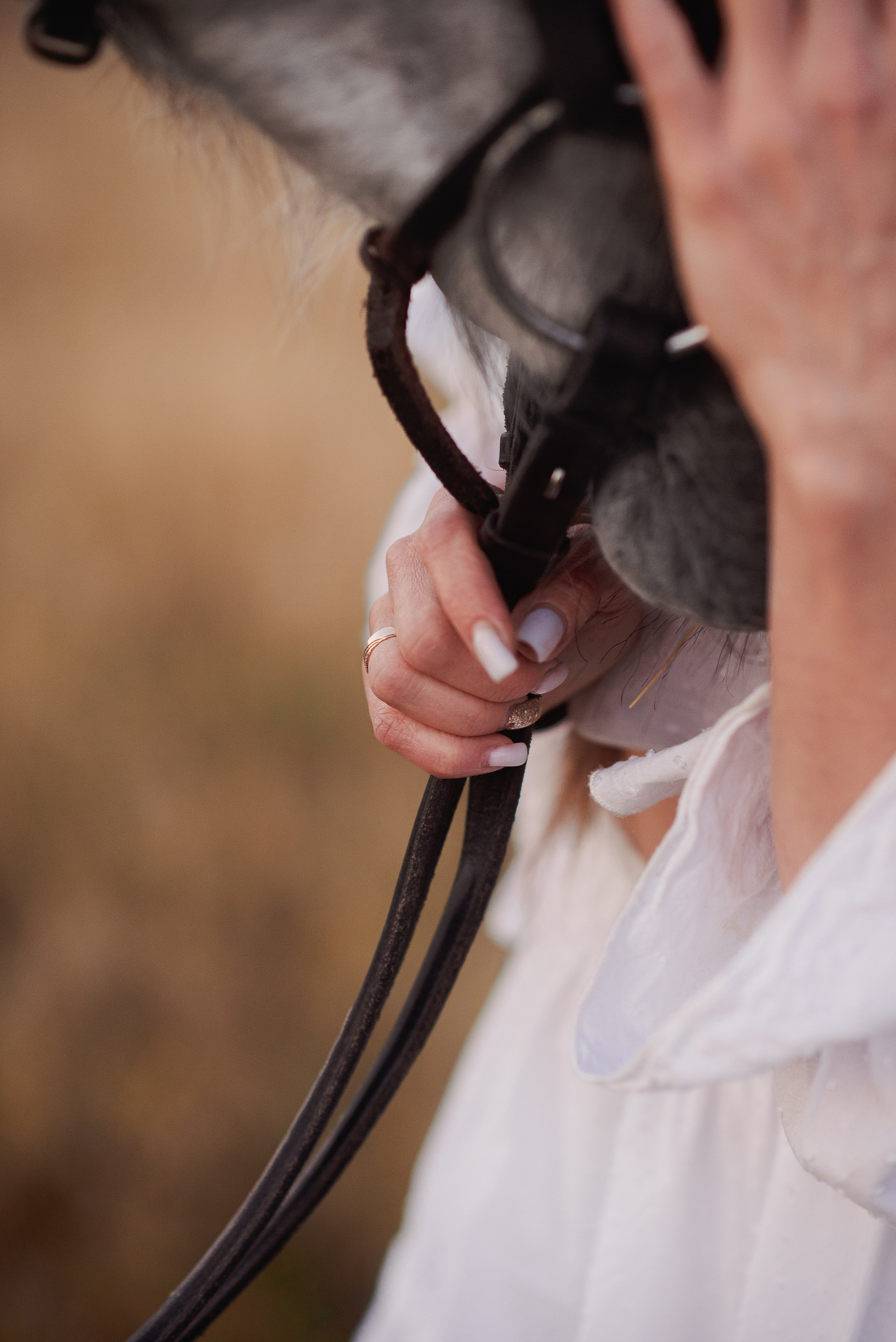 Юля и Дакар — 12.09.2024. Фотограф — Анималист | Анна Абрамова