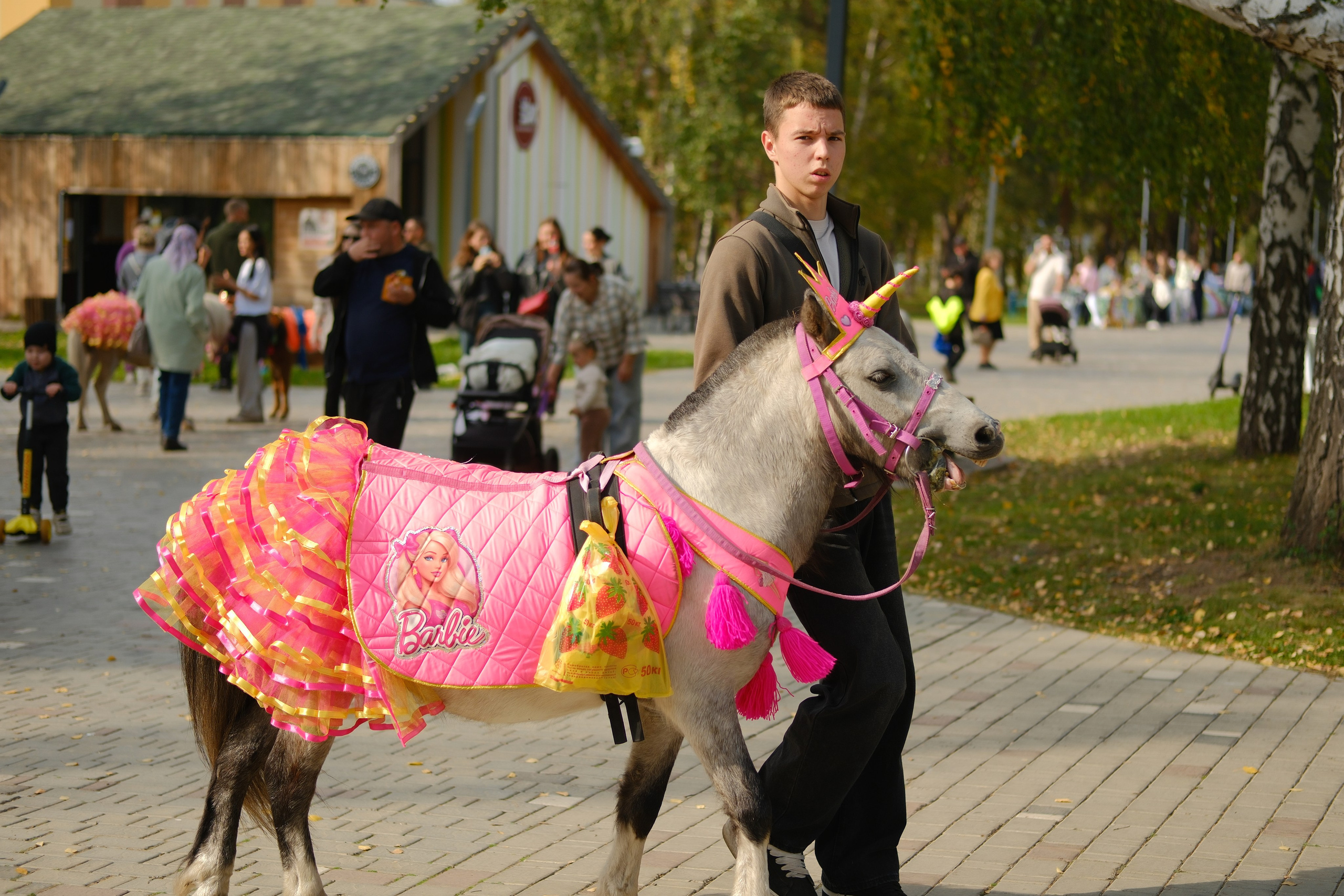 Фотограф Максим Липин