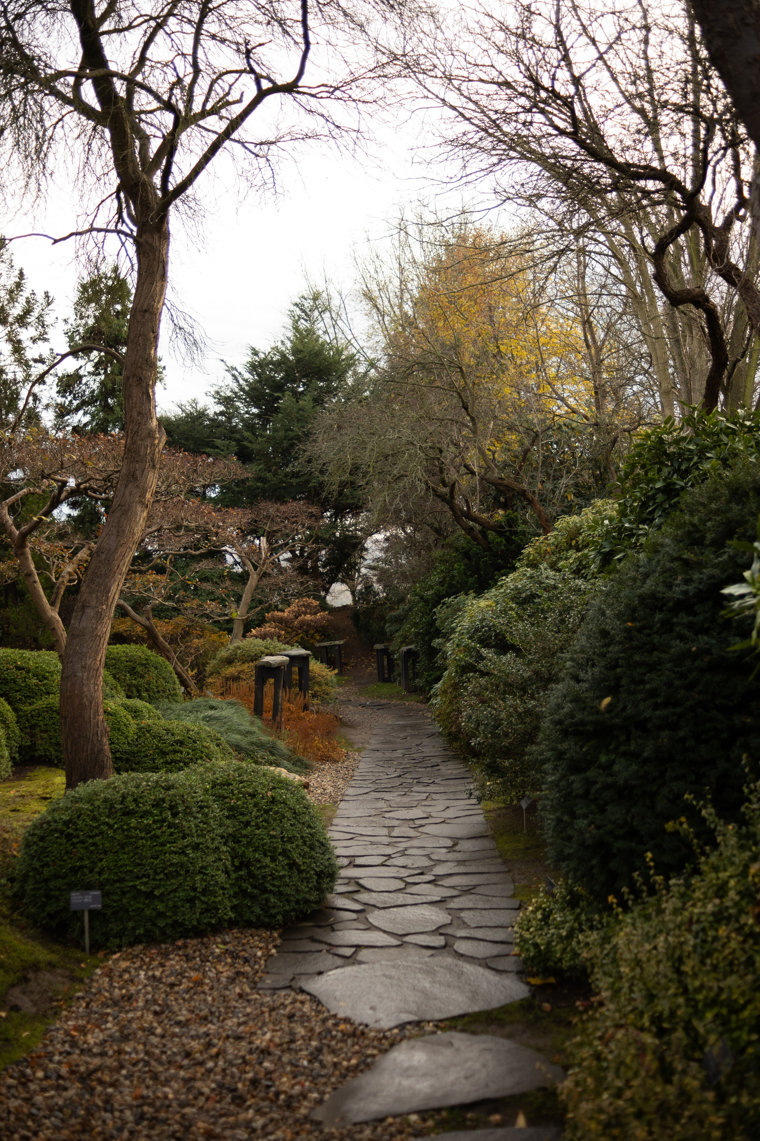 Tea exhibition, Prague. Magic photos