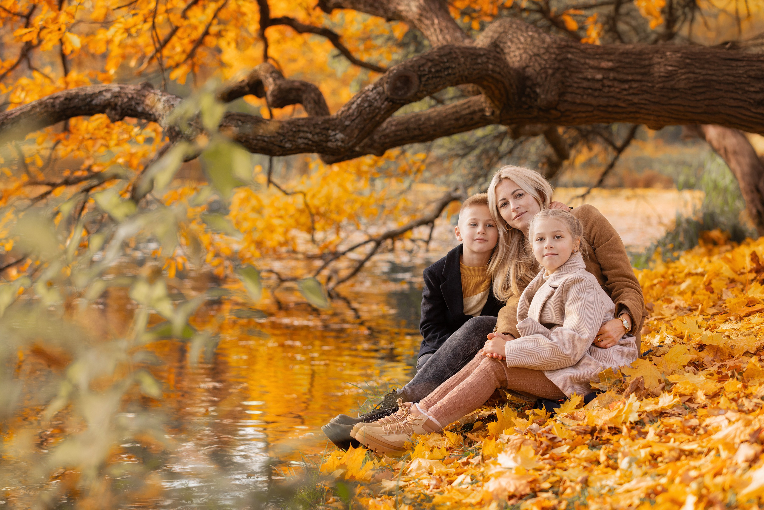 Осень. Фотограф Алена Звездина