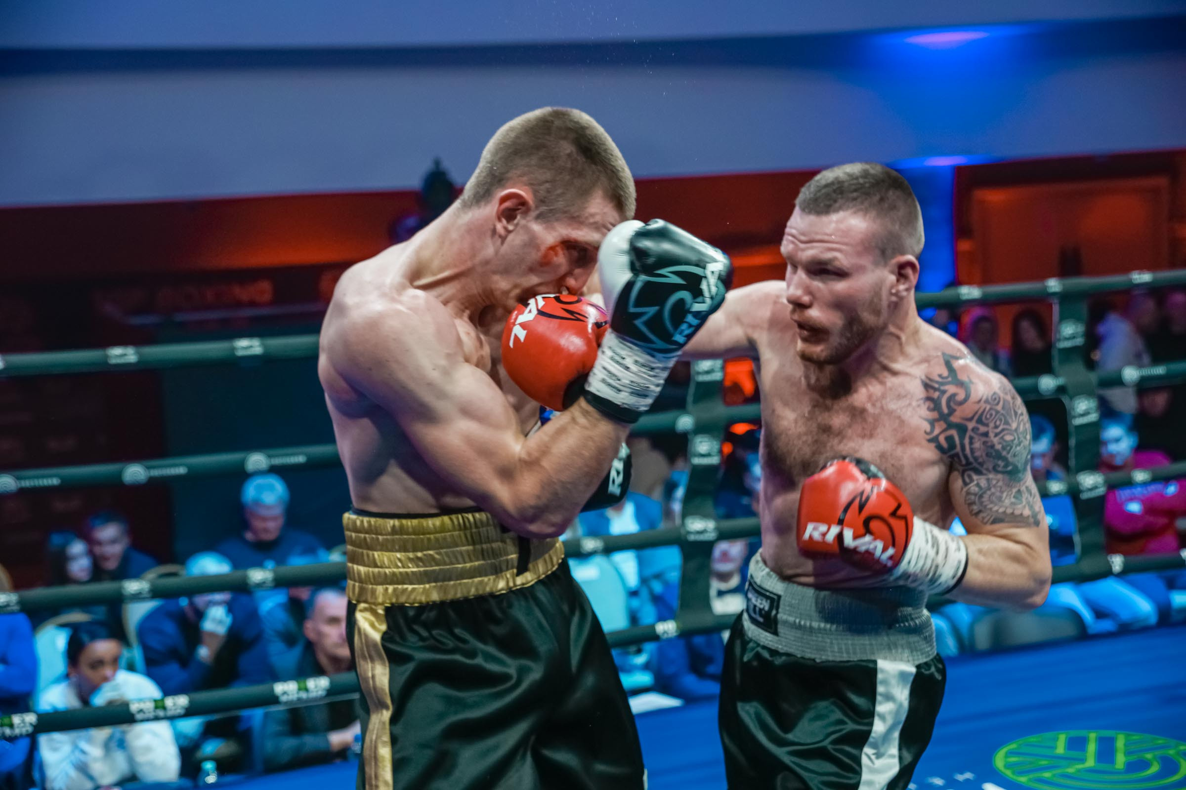 Бокс МАТЧ ТВ. Фотограф Андрей Слынченко