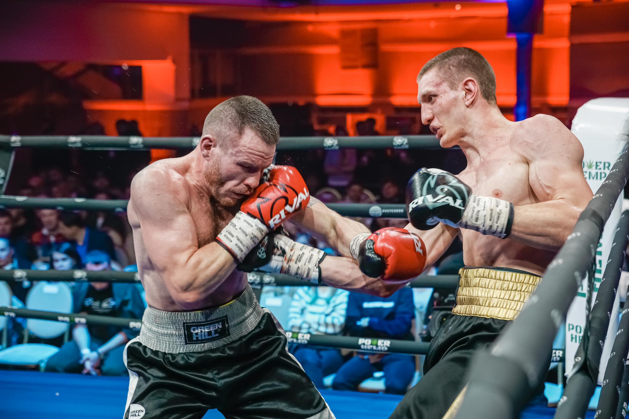 Бокс МАТЧ ТВ. Фотограф Андрей Слынченко