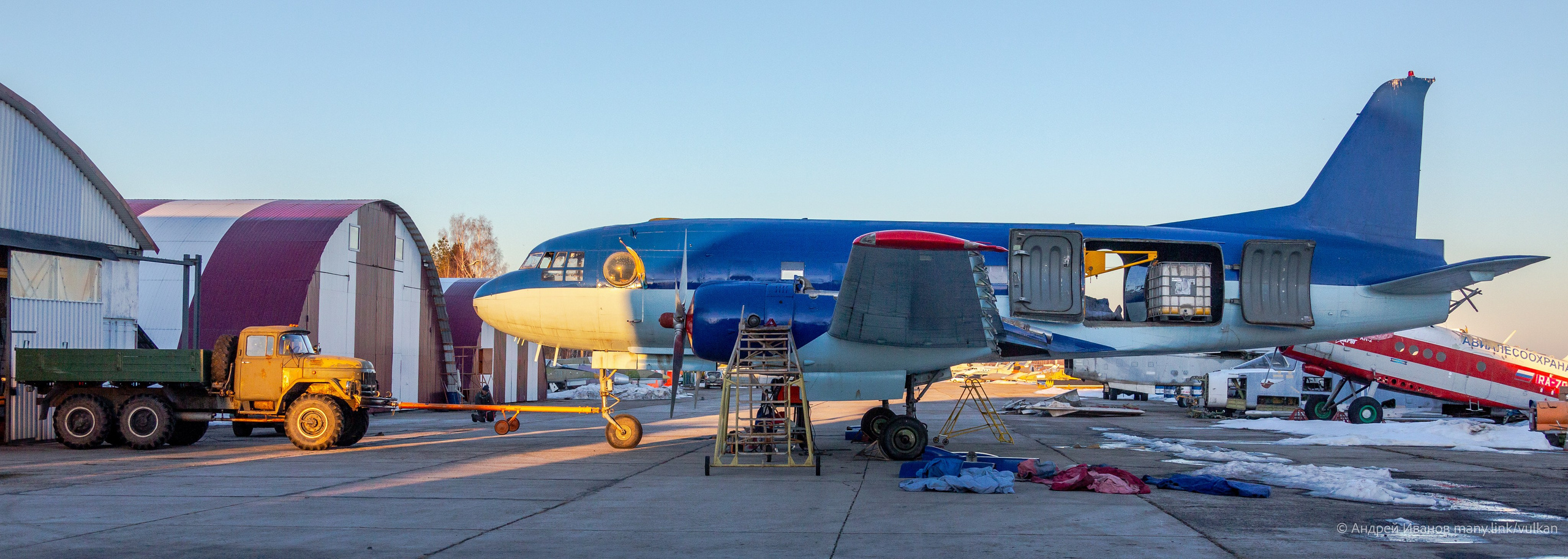Ил-14Т «Голубая Мечта» (2026 г.). Фотоальбом показывающий увлекательный мир авиации и мир медведей Андрея Иванова
