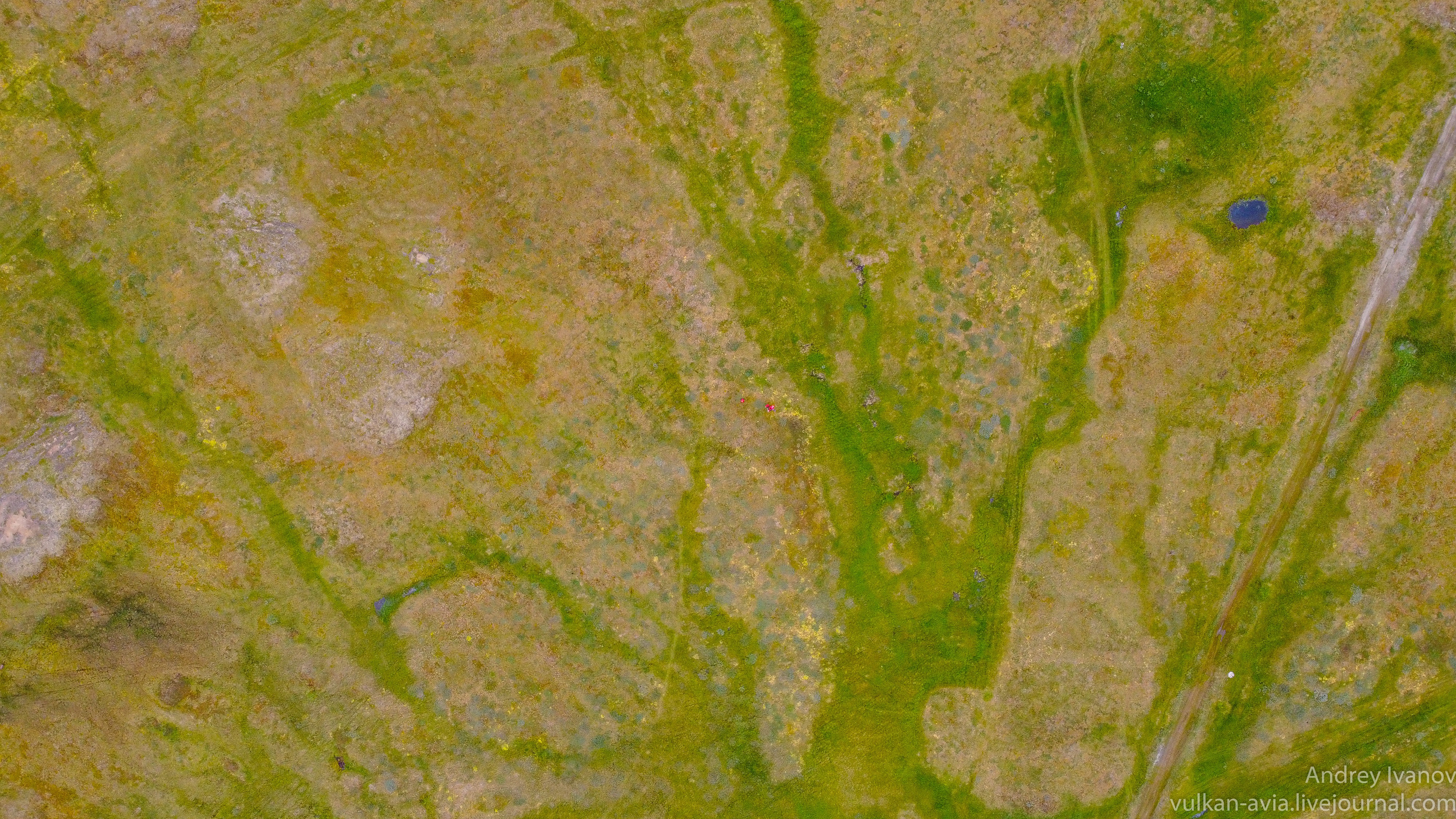 Амдерма — наука (2020 г.). Фотоальбом показывающий увлекательный мир авиации и мир медведей Андрея Иванова