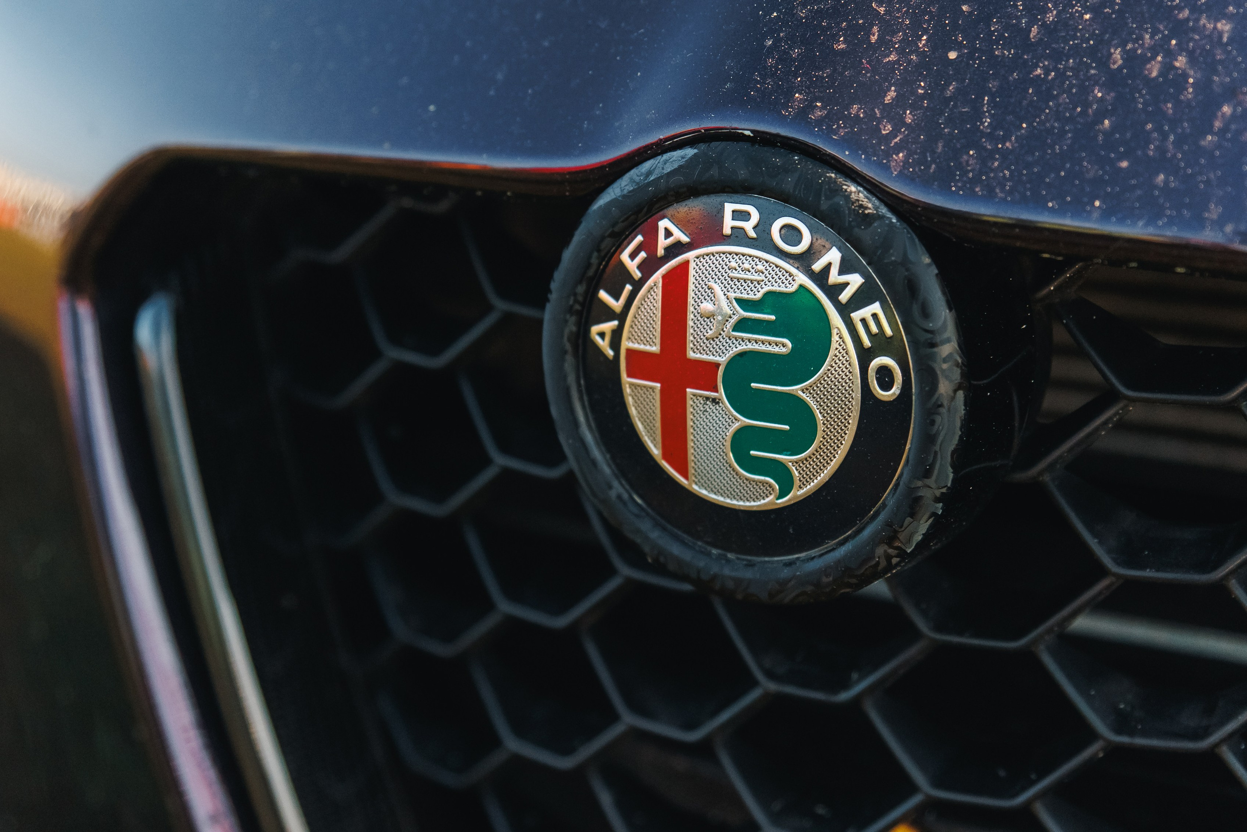 Выставка и дрифт машин. Репортажный фотограф. Москва. Алина Ланская