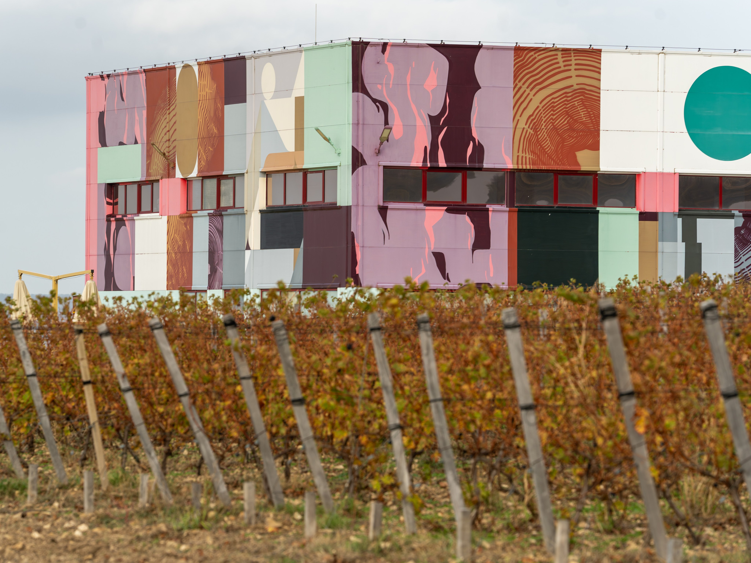 Литературная мастерская с Ольгой Шутовой в «Винотеррии». Репортажный фотограф в Красной Поляне и Сочи Павлюченко Екатерина