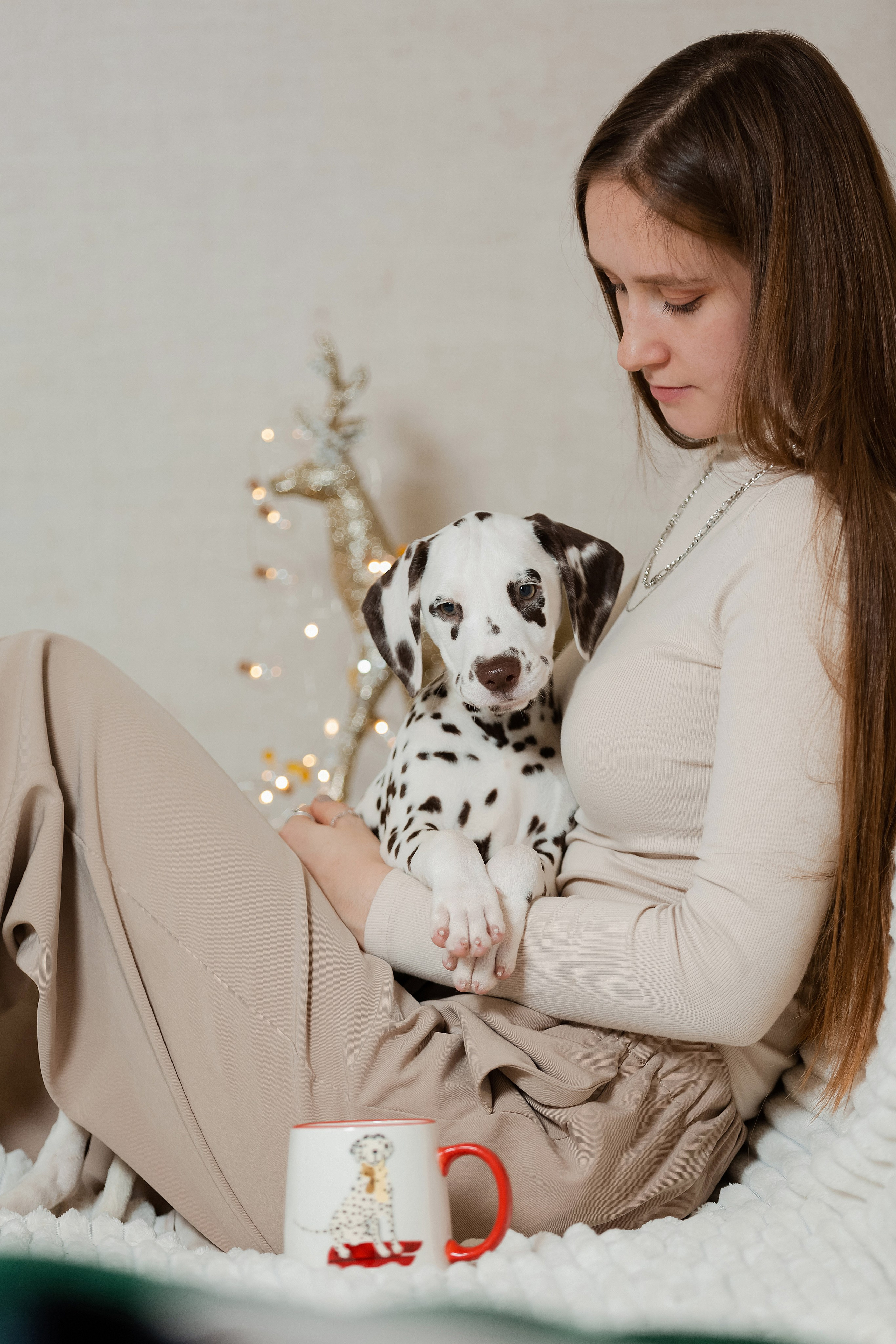 Далматины на ручках у девушки. Фотограф-анималист в Краснодаре Маша Мельникова