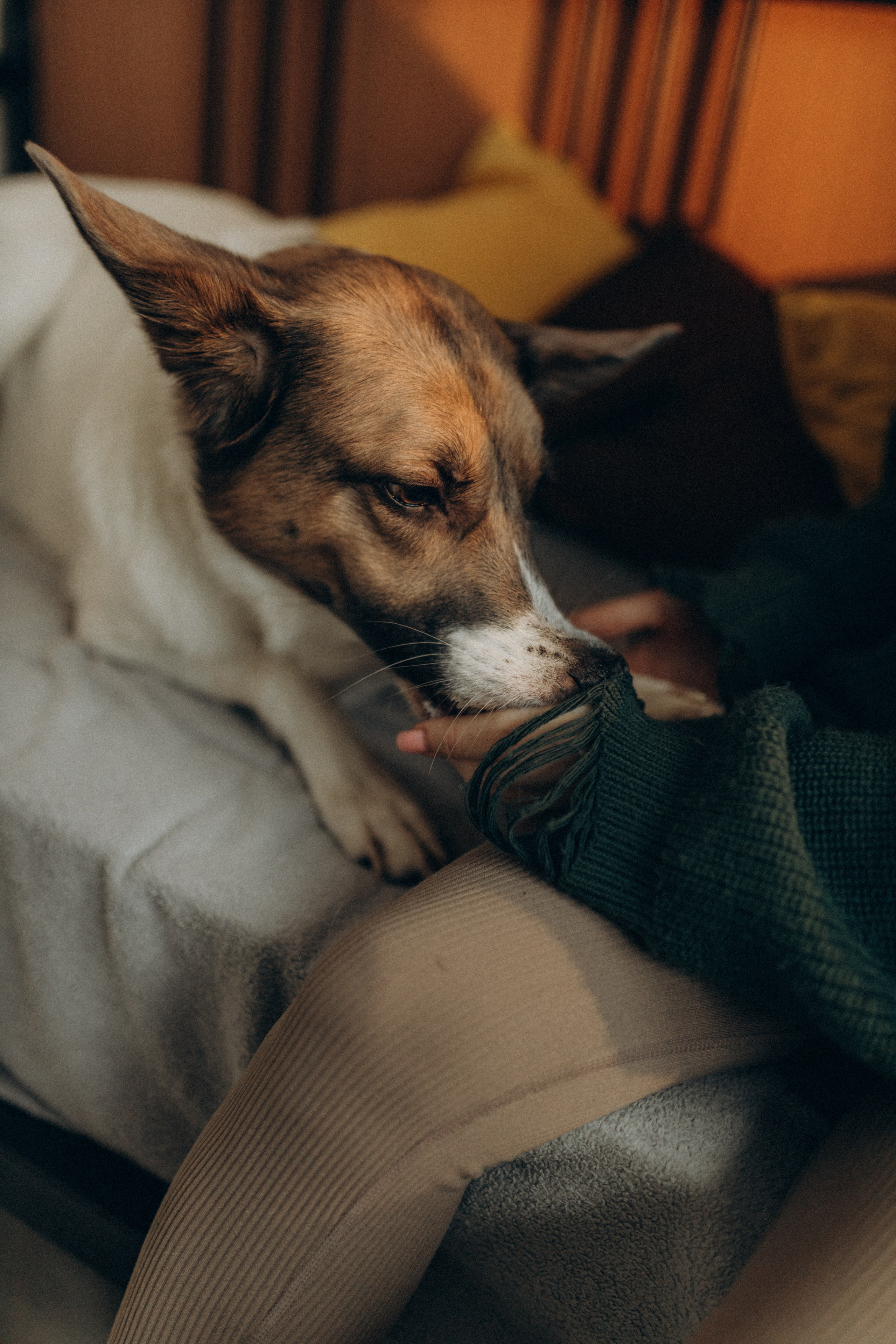 Полина. Фотограф НОГИНСК, Москва, Анастасия Белая