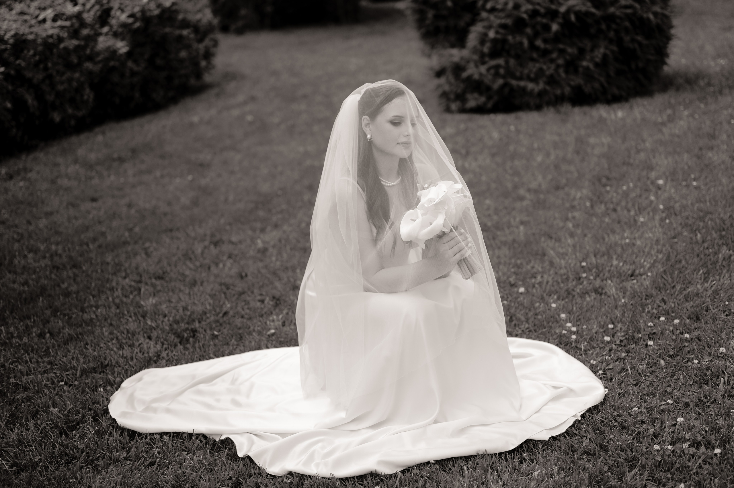 Загс (студия и прогулка). Свадебный и семейный фотограф в Краснодаре Алина Мельник