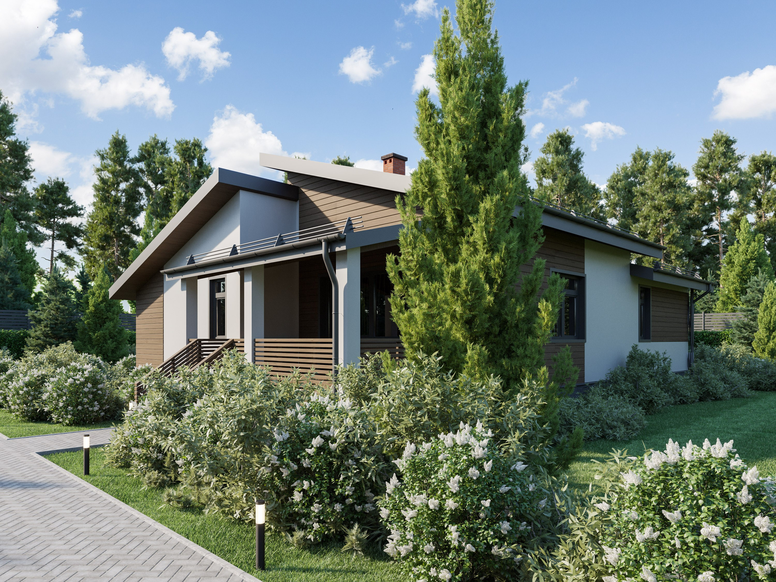 3D Визуализация Небольшого Дома с Фасадом из дерева| Экстерьер. Визуализатор интерьера в Москве | Брагин Кирилл