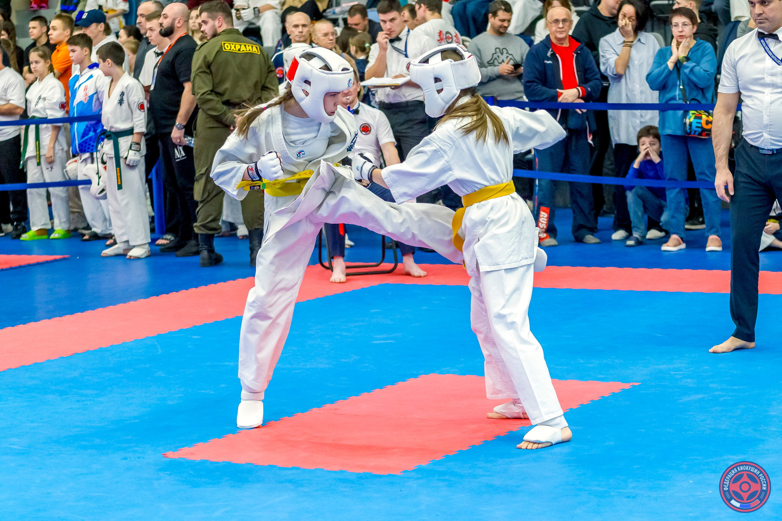 Международный турнир по киокушин «Открытый кубок Seiken». Репортажная съемка в Москве и области. Анималистика