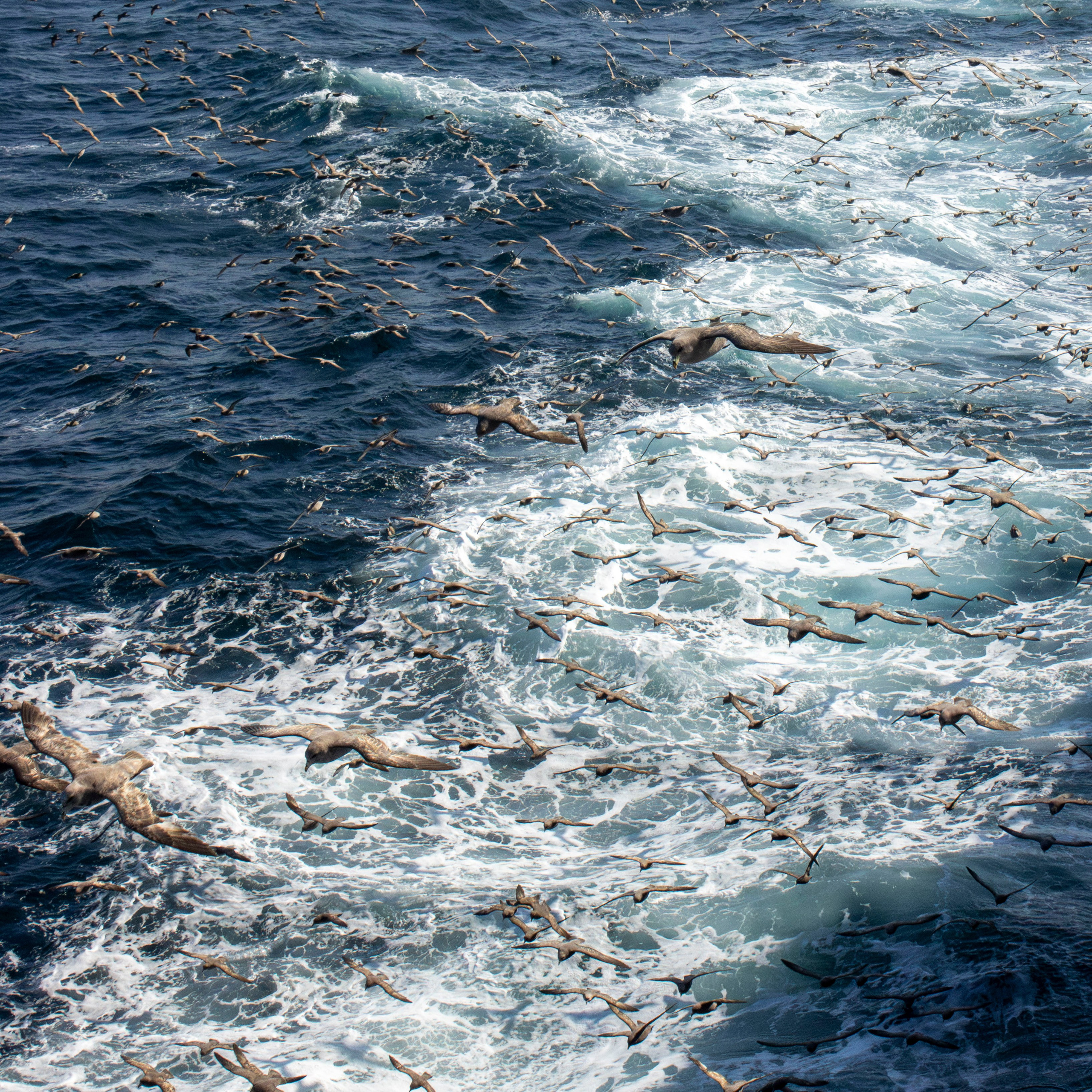 Когда я в море. Часть 1. Фотограф г. Владивосток