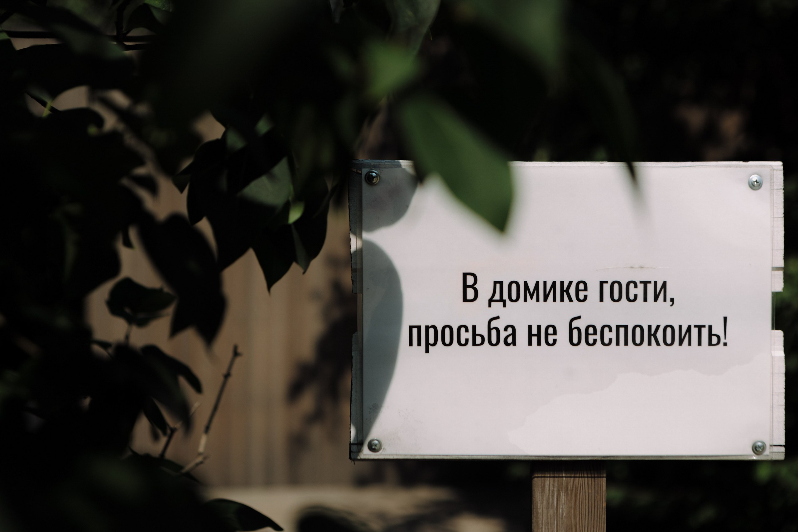 Евгений и Виктория. LEVORIGINAL