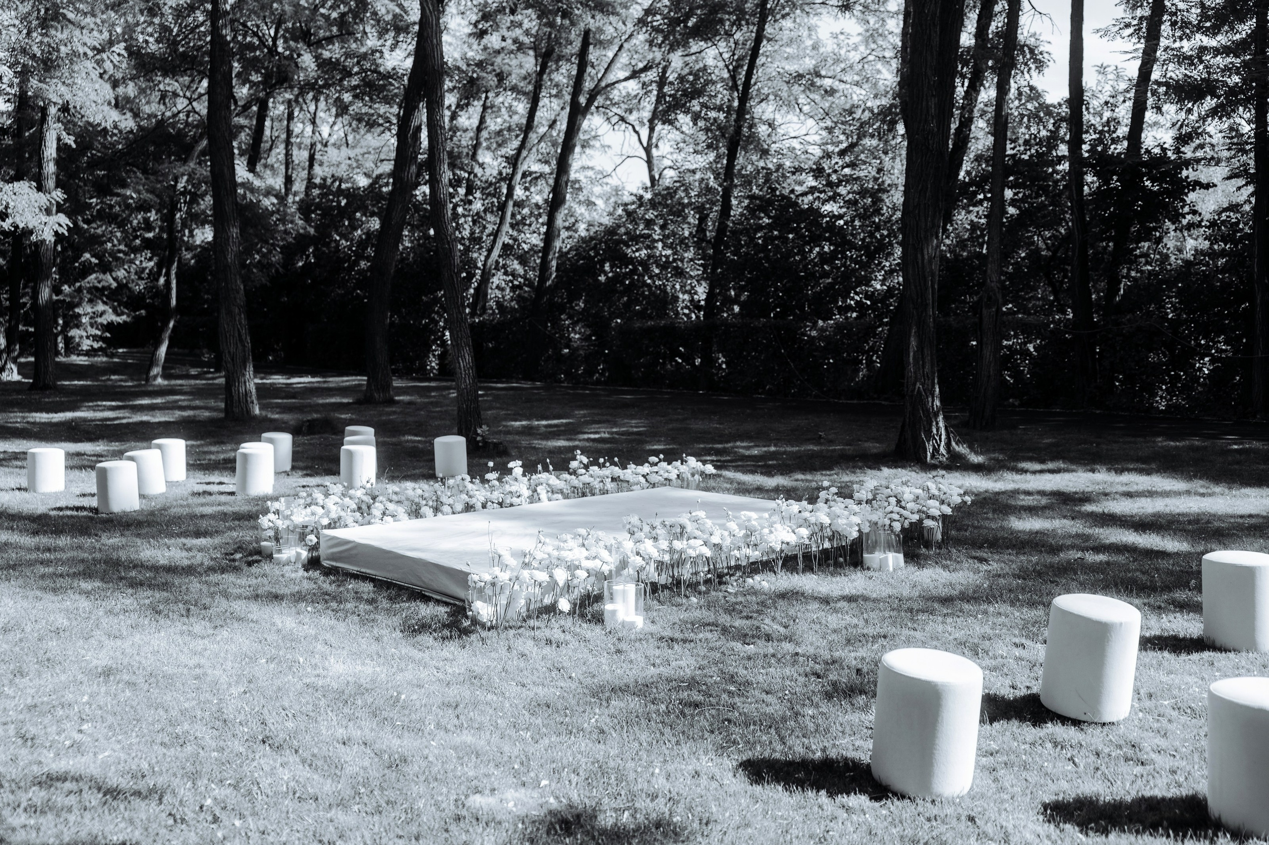 Дмитрий и Николь. Свадебный фотограф в Ростове — на — Дону Александра Пивоварова