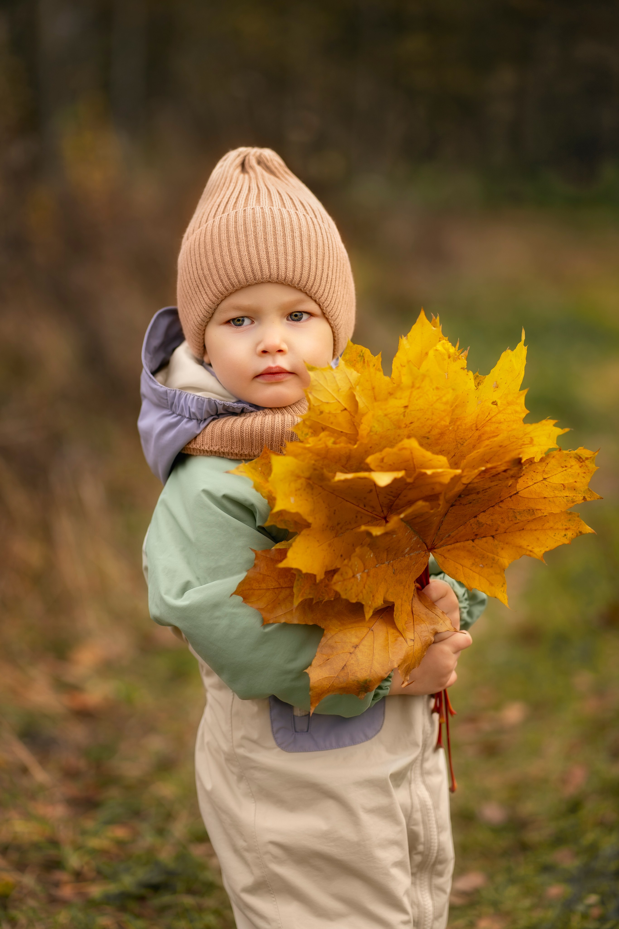 Фотоистория «Золотая осень». Семейный и детский фотограф Фрязино, Щелково Юлия Март