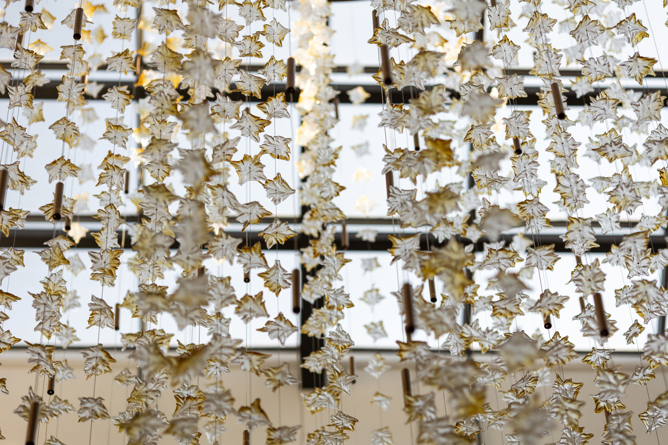 Виталий и Анна 1.07.2022. Wedding photographer Valeriy Solonskiy