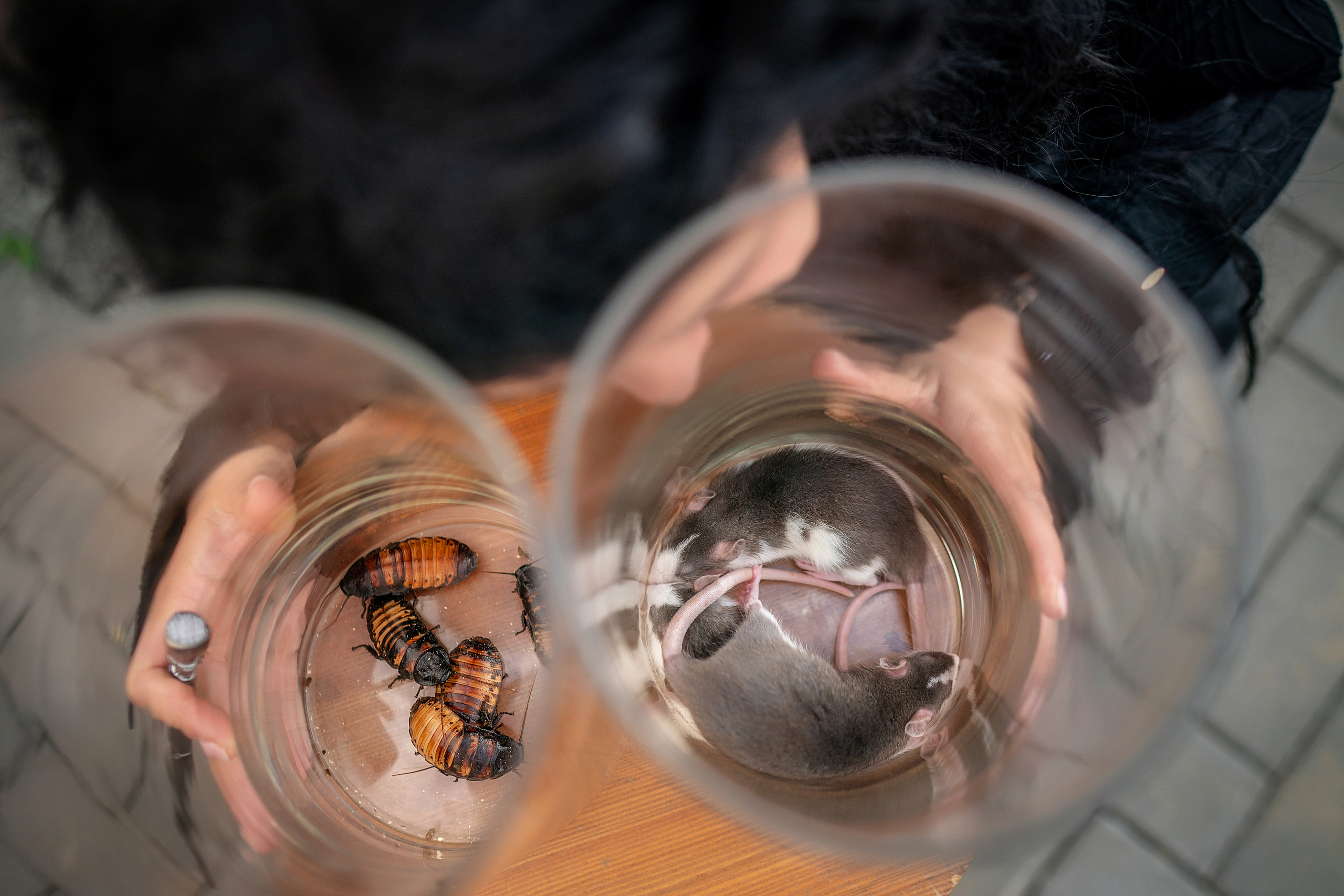 Детский праздник. Фотограф на Крещение и Венчание в Красноярске Рамазанова Юлия