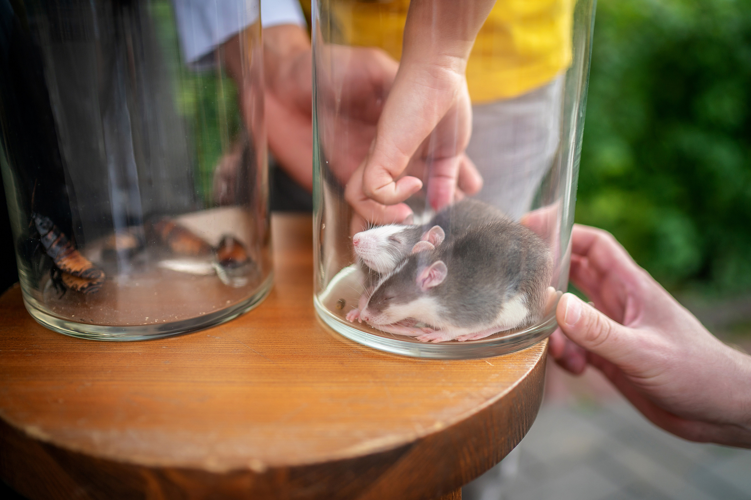 Детский праздник. Фотограф на Крещение и Венчание в Красноярске Рамазанова Юлия
