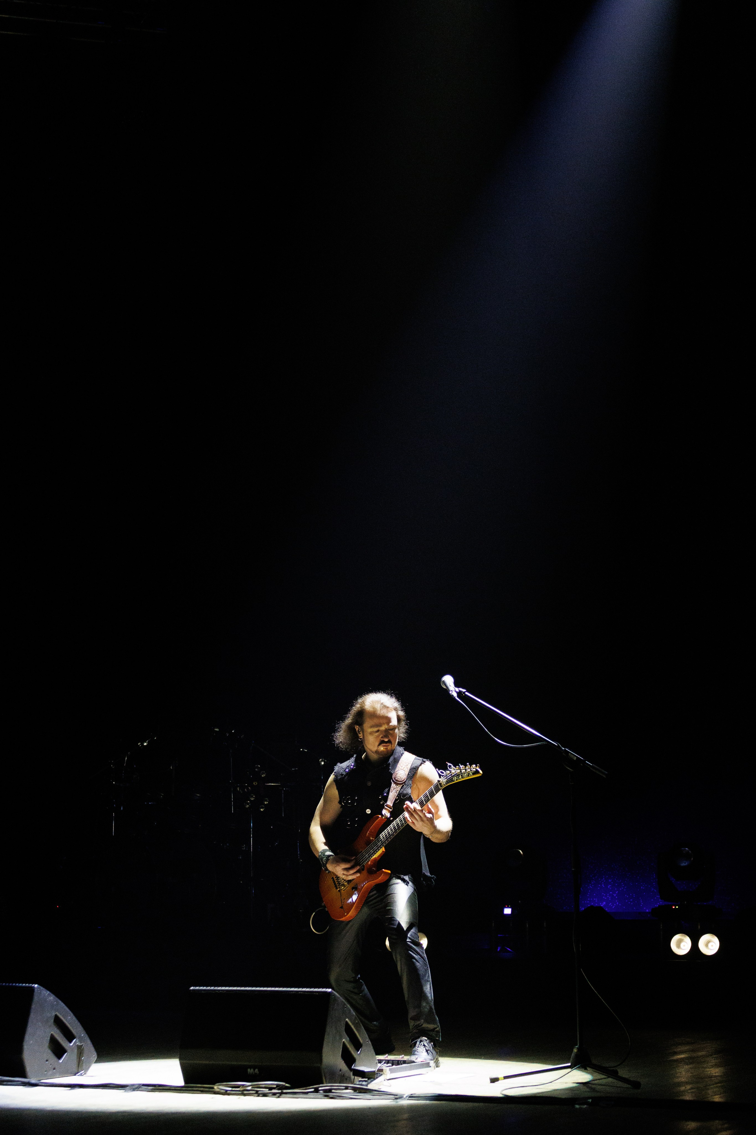 «КИПЕЛОВ». Photomantis