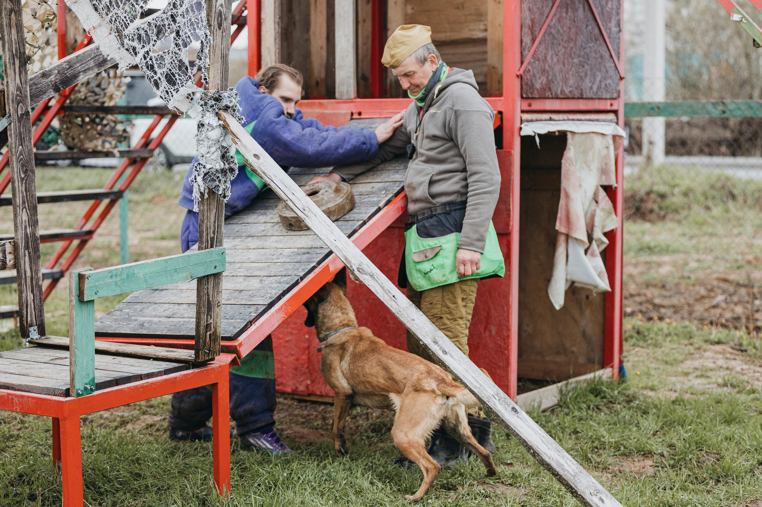 09.05.25 Вологда соревнования. Фотограф-анималист Анна Маринич