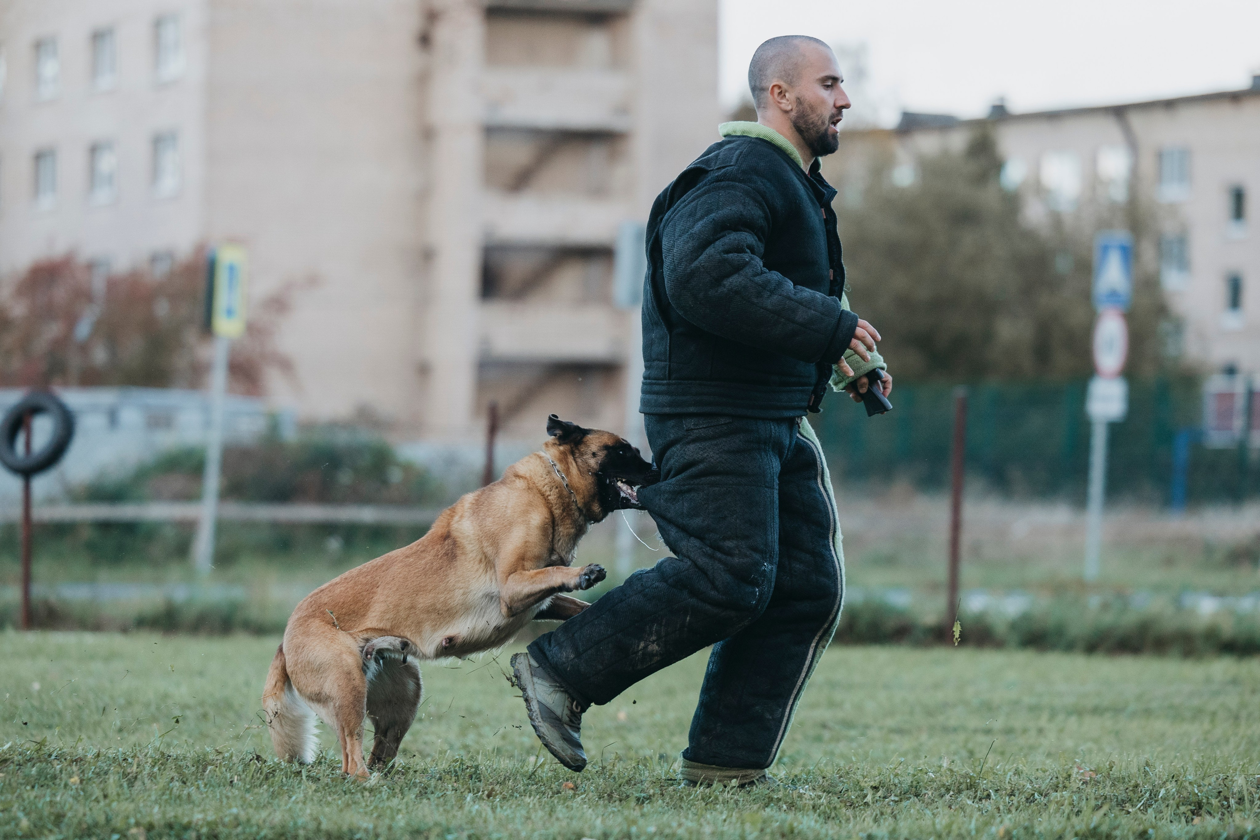 Испытания по мондьорингу г. Пушкин 29.09.2024. Фотограф-анималист Анна Маринич