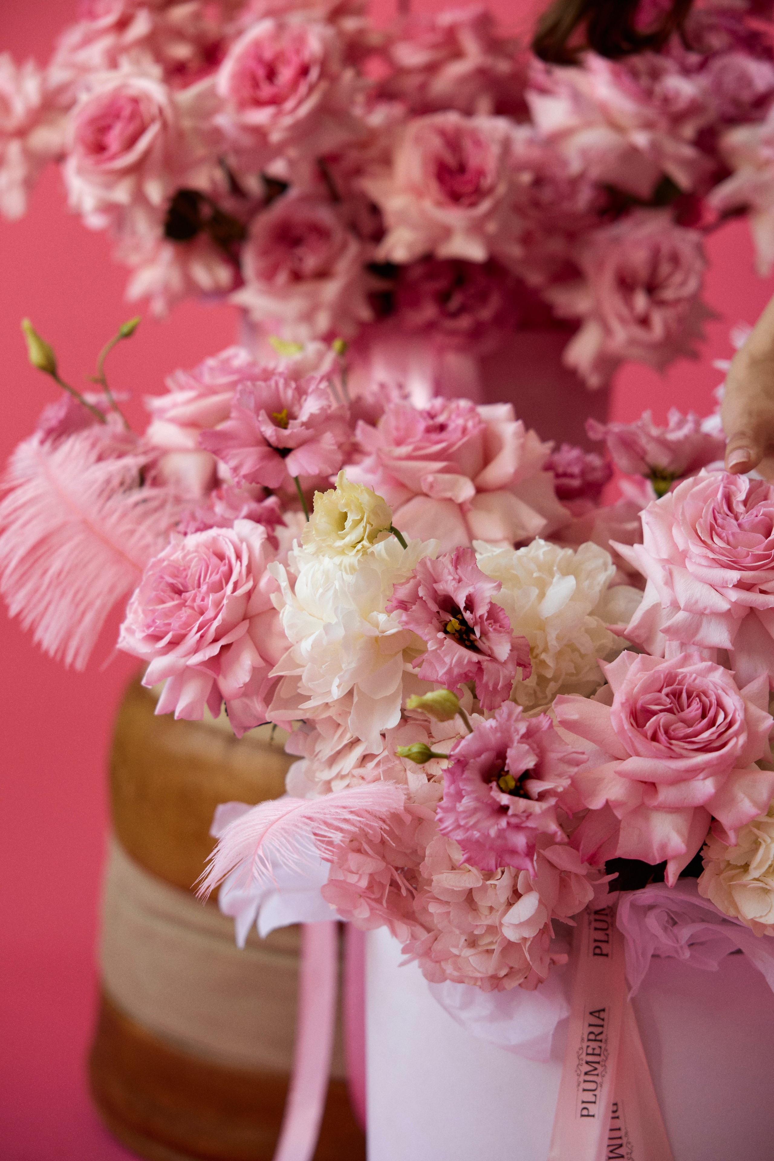 Plumeria flowers brand. Фотограф Нижний Новгород Кристина Швецова