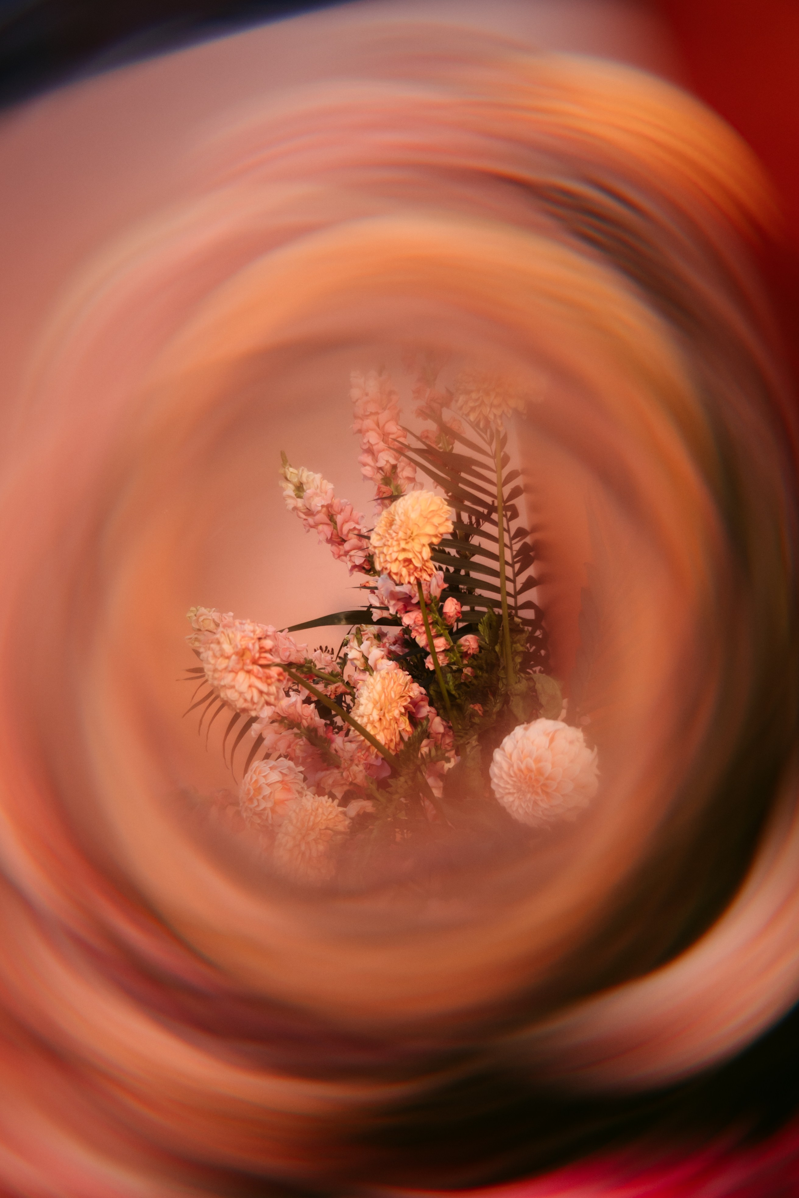 Лето! Танцы! Парки!. Репортажный и портретный фотограф Ася Салахова