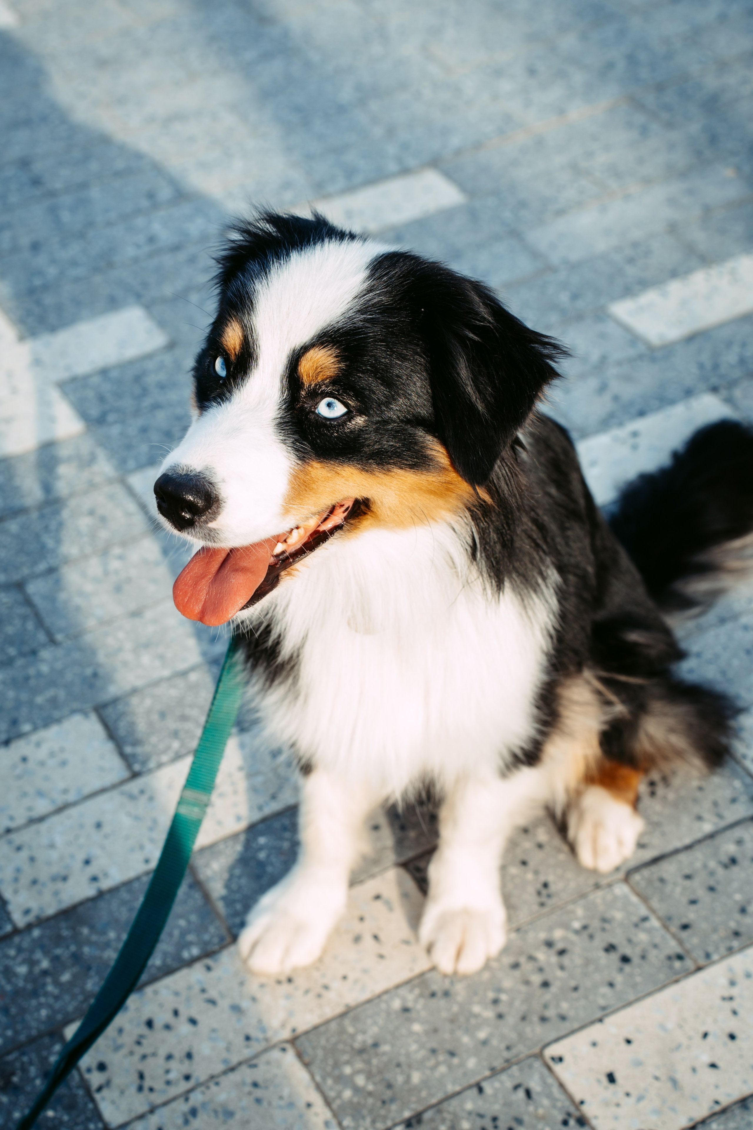 Второй раунд. Репортажный и портретный фотограф Ася Салахова