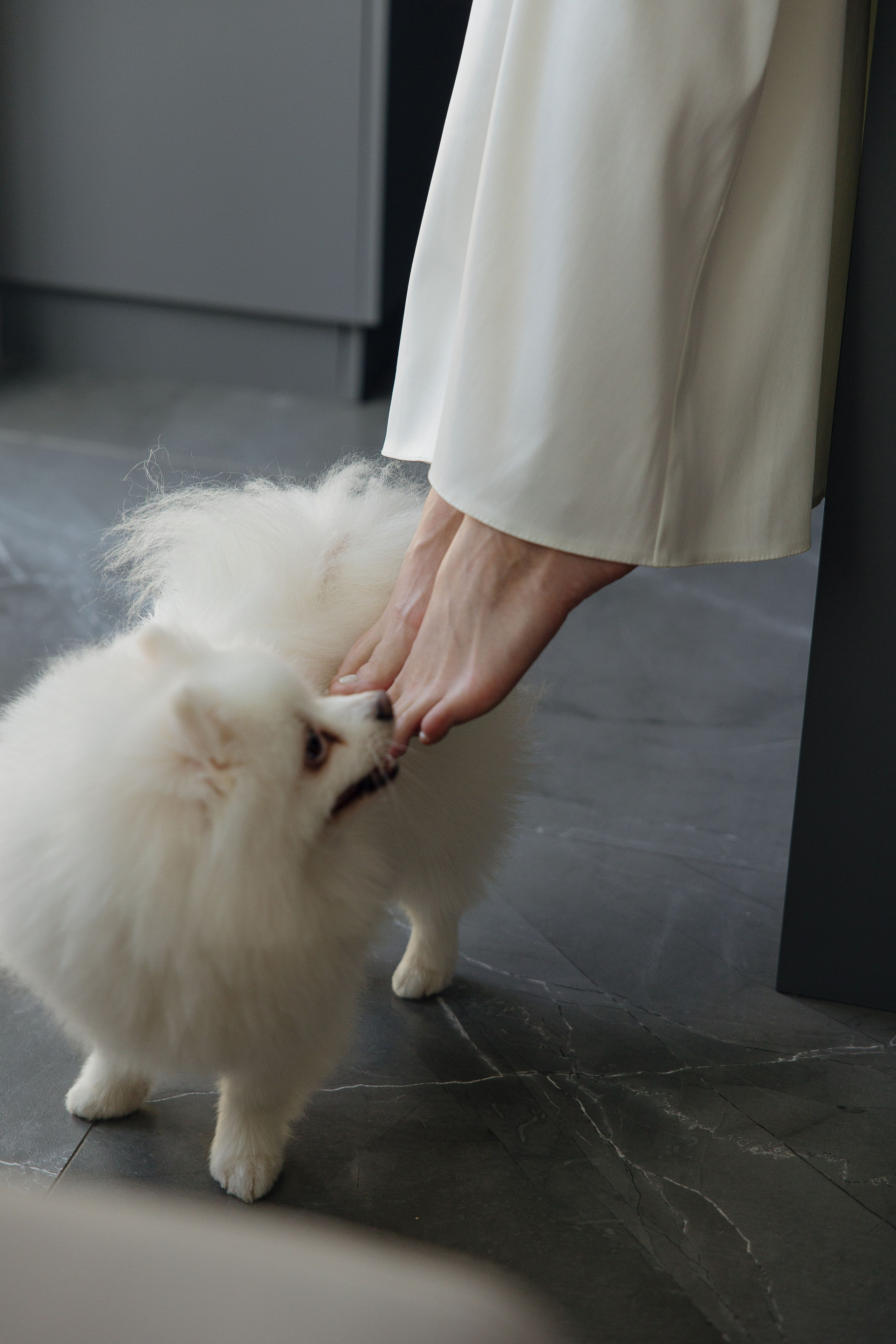 Hot-N-Fun. Главная