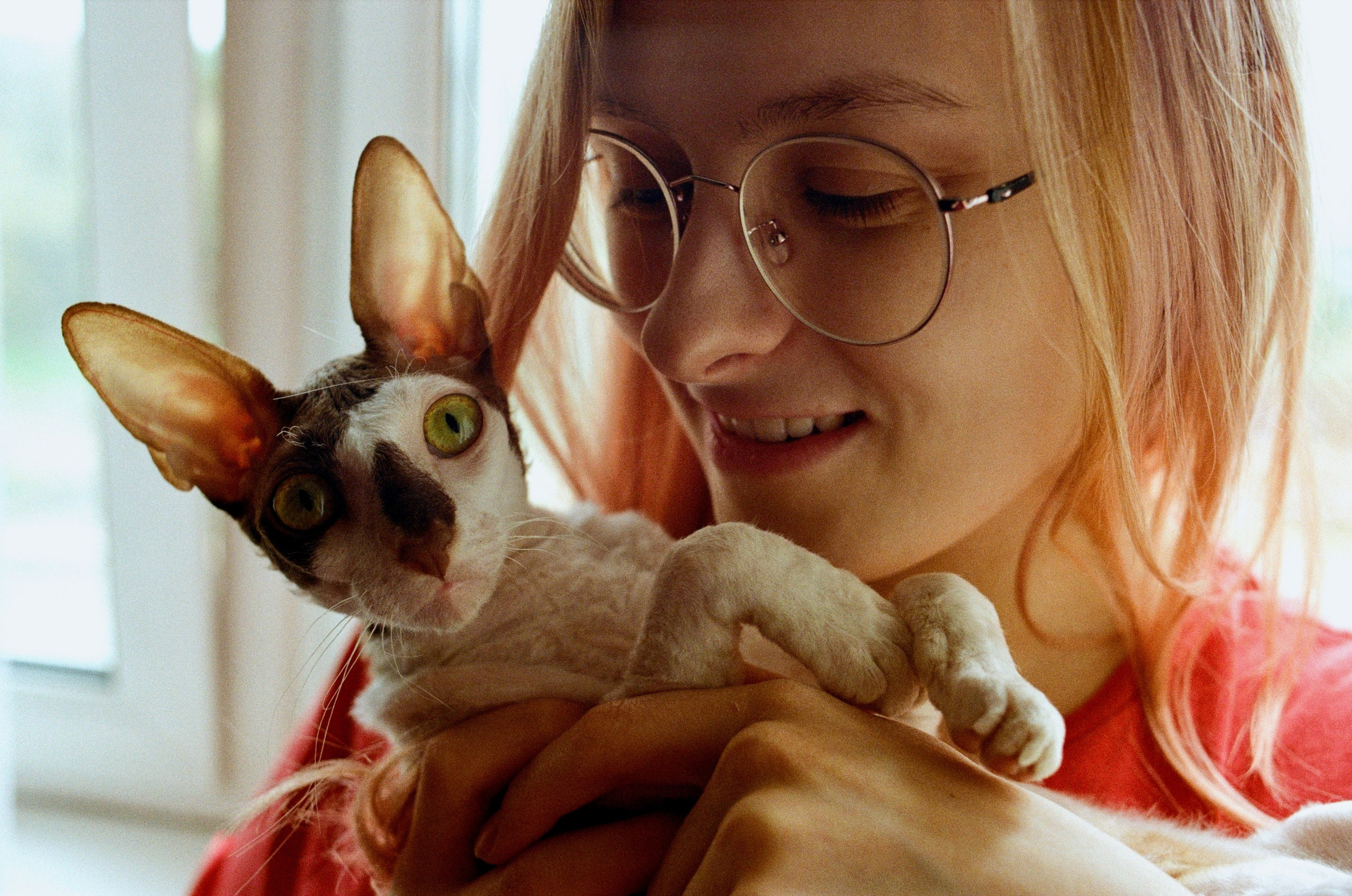 Film. Ruslan UI Dev Page