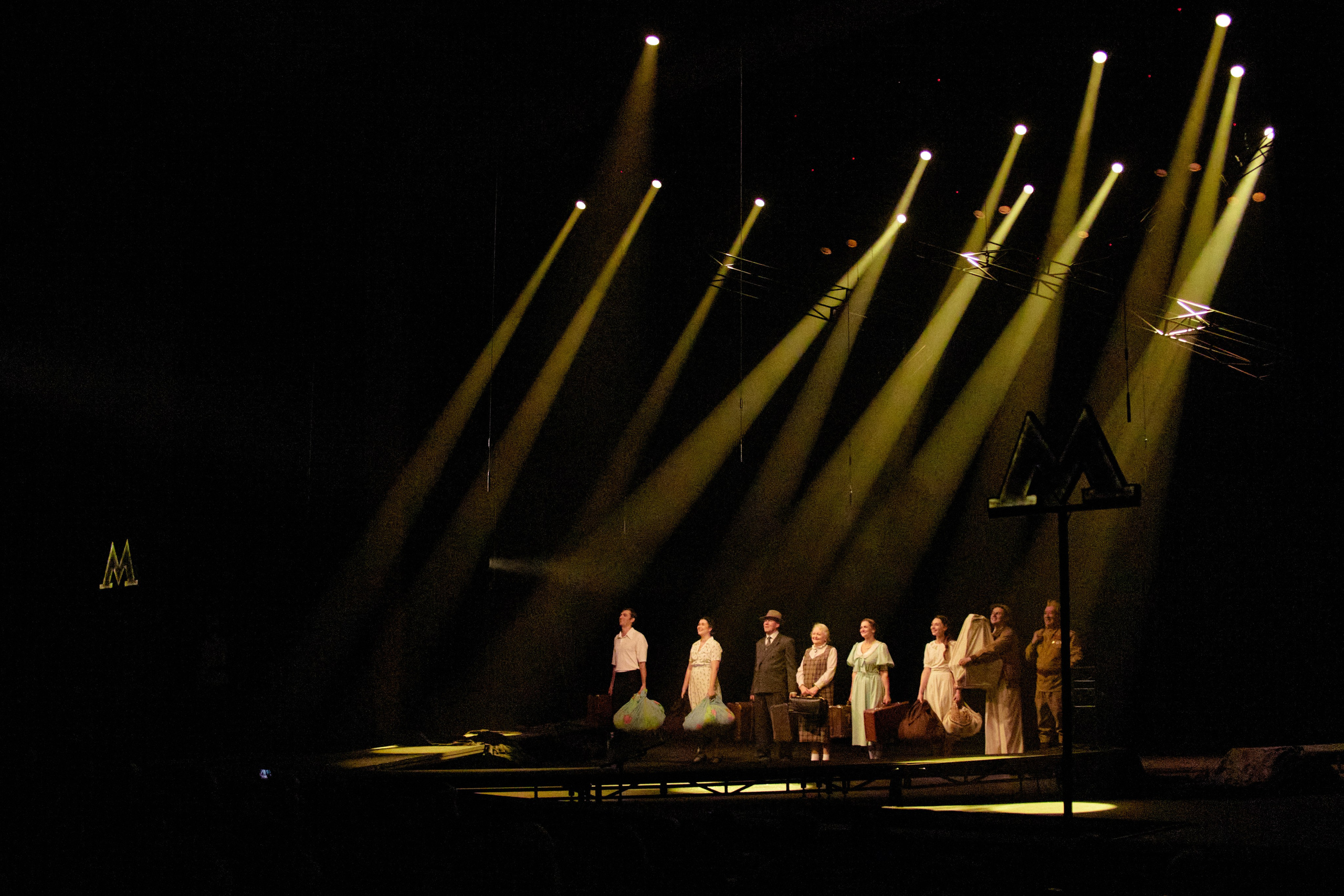 Летят журавли. Фотограф Юлия Маринина