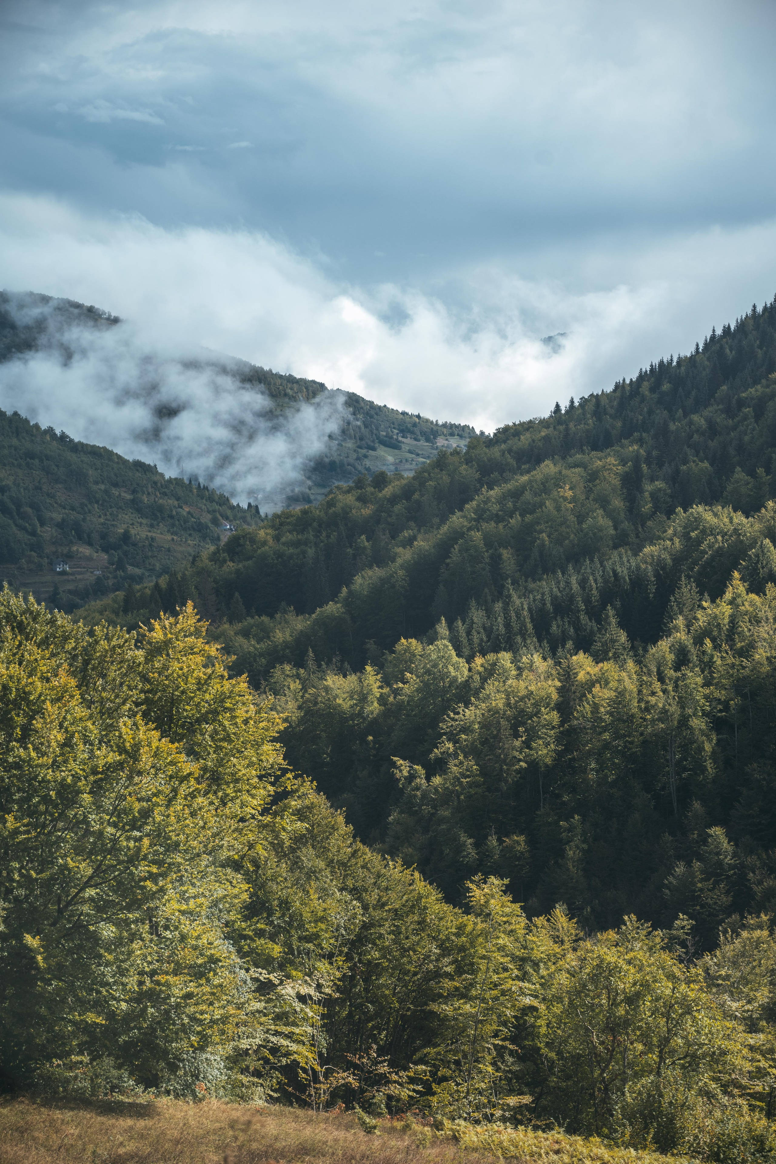 ГОРЫ КОМОВИ. ЧЕРНОГОРИЯ. Фотограф в Белграде Чугреева Елена