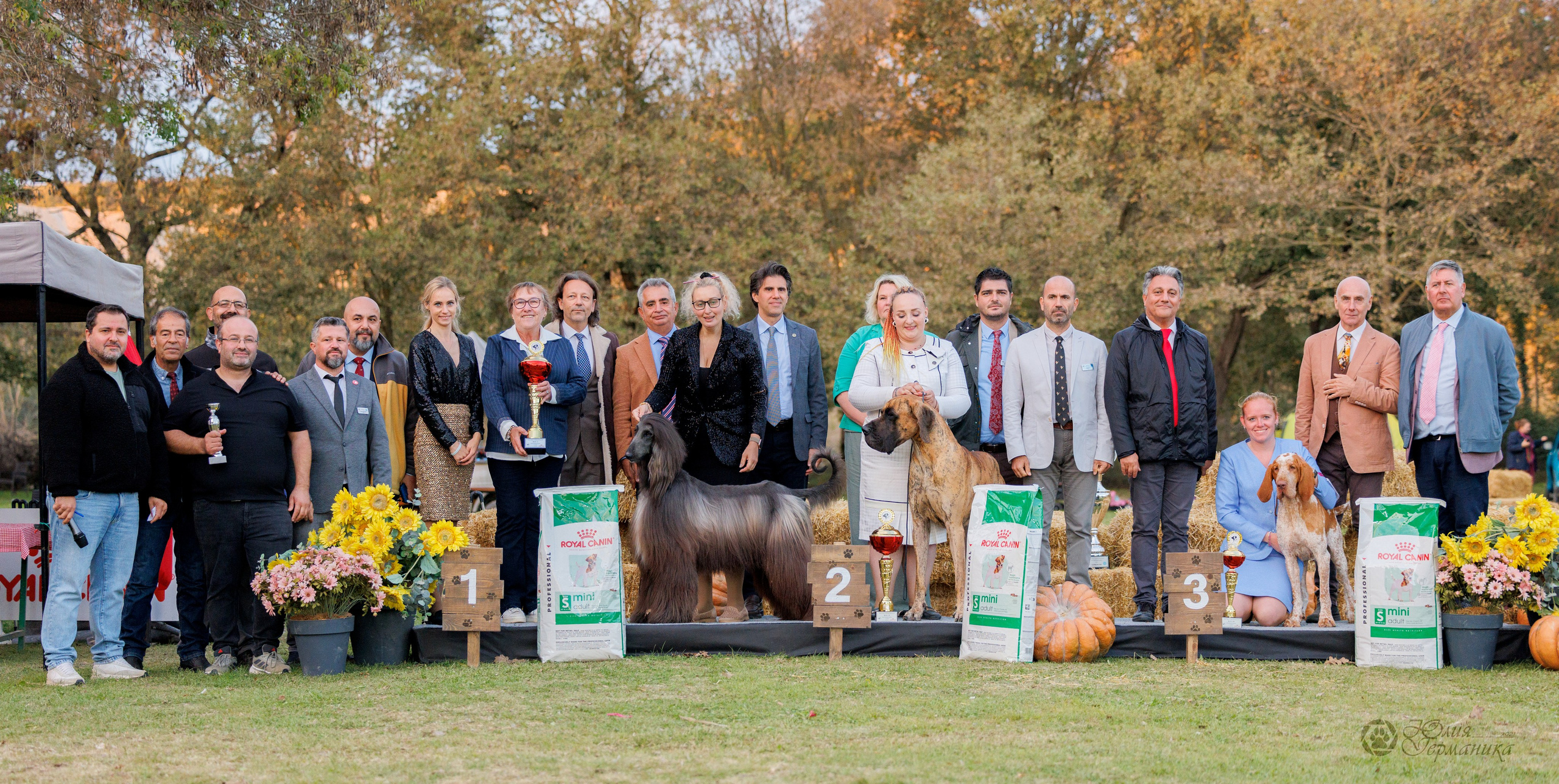 Туция,Стамбул 2хCACIB 26-27.10.24. Фотограф-анималист Юлия Германика