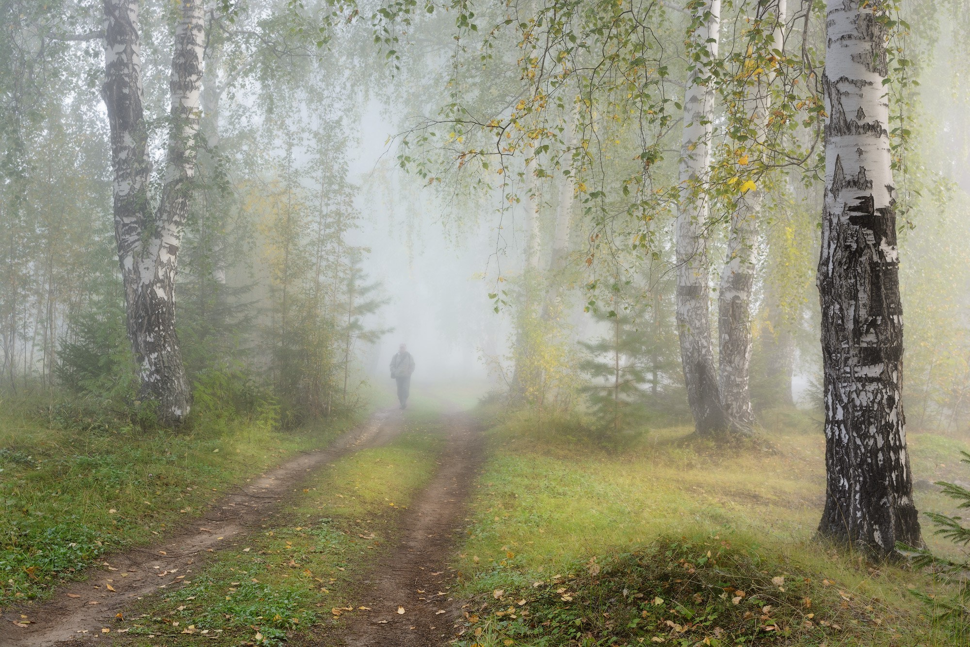 Осенние пейзажи Черноисточинска | Фотограф Николай Обухов