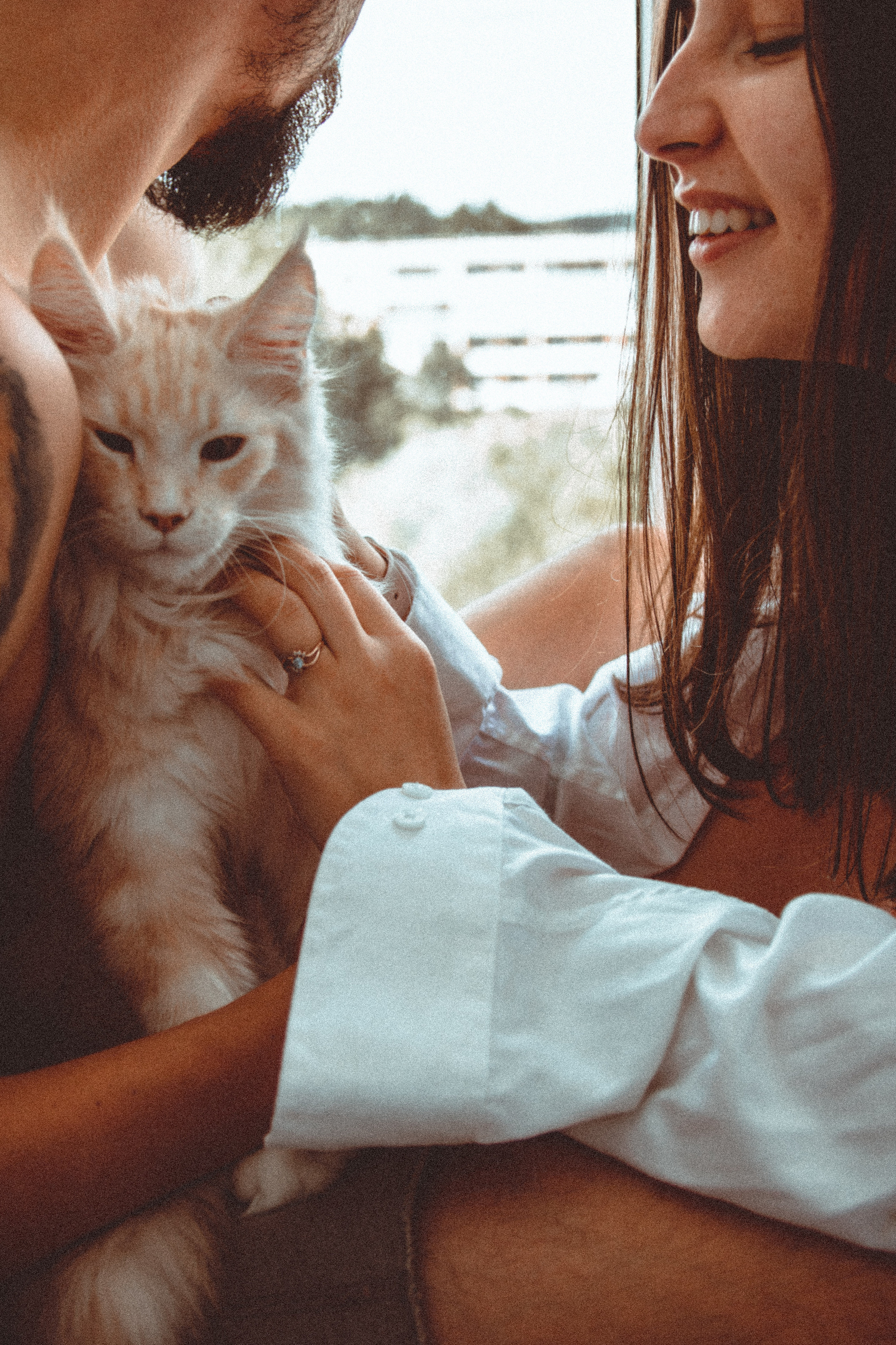 Love Story. Свадебный и семейный фотограф Даша Петрова в Москве и Подмосковье