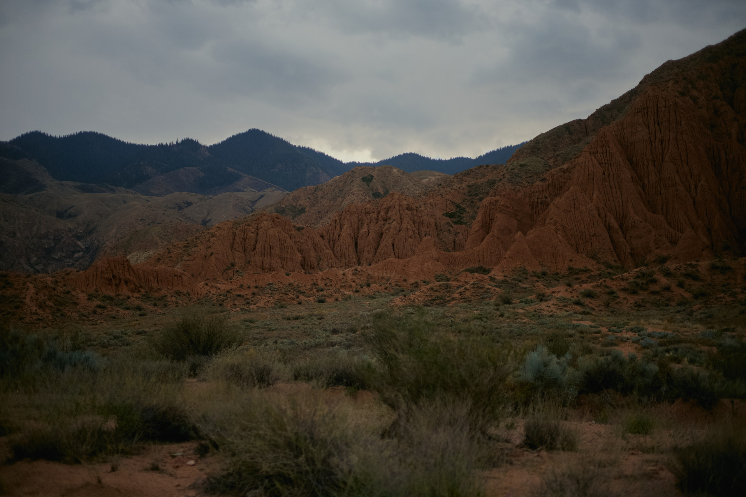 Кыргызтан. Профессиональный Фотограф во Владимире, в Москве и в Суздале — Полина Романычева