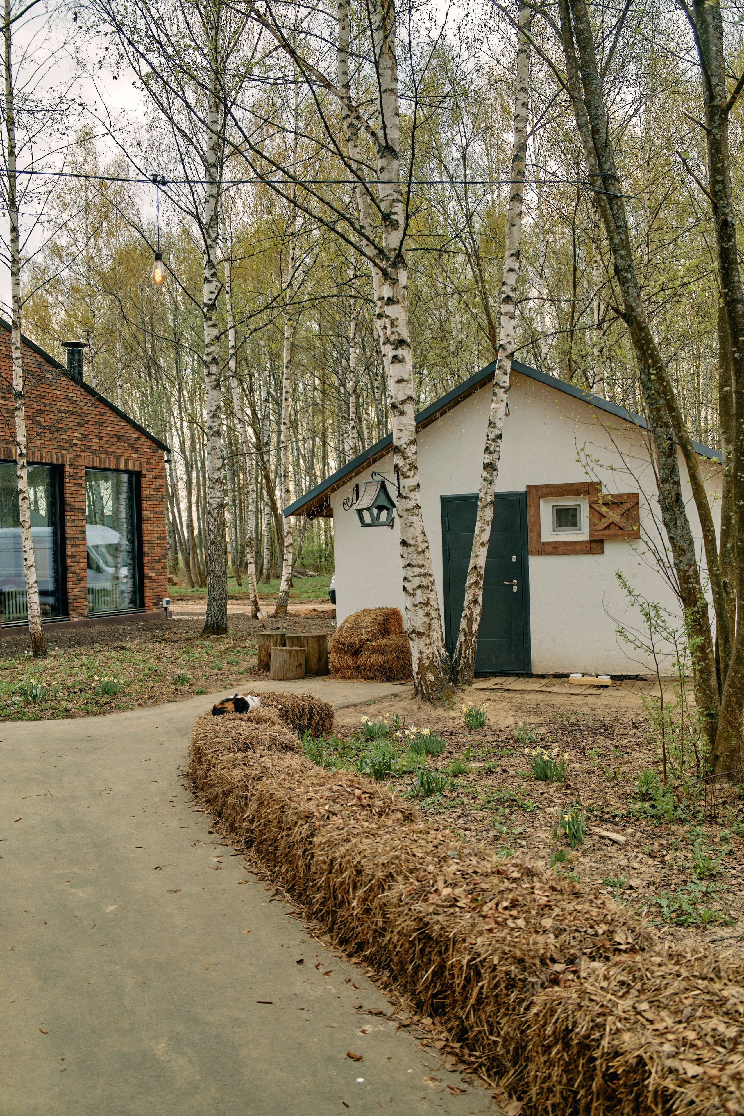 Бутик-отель Поле летом. Профессиональный Фотограф во Владимире, в Москве и в Суздале — Полина Романычева