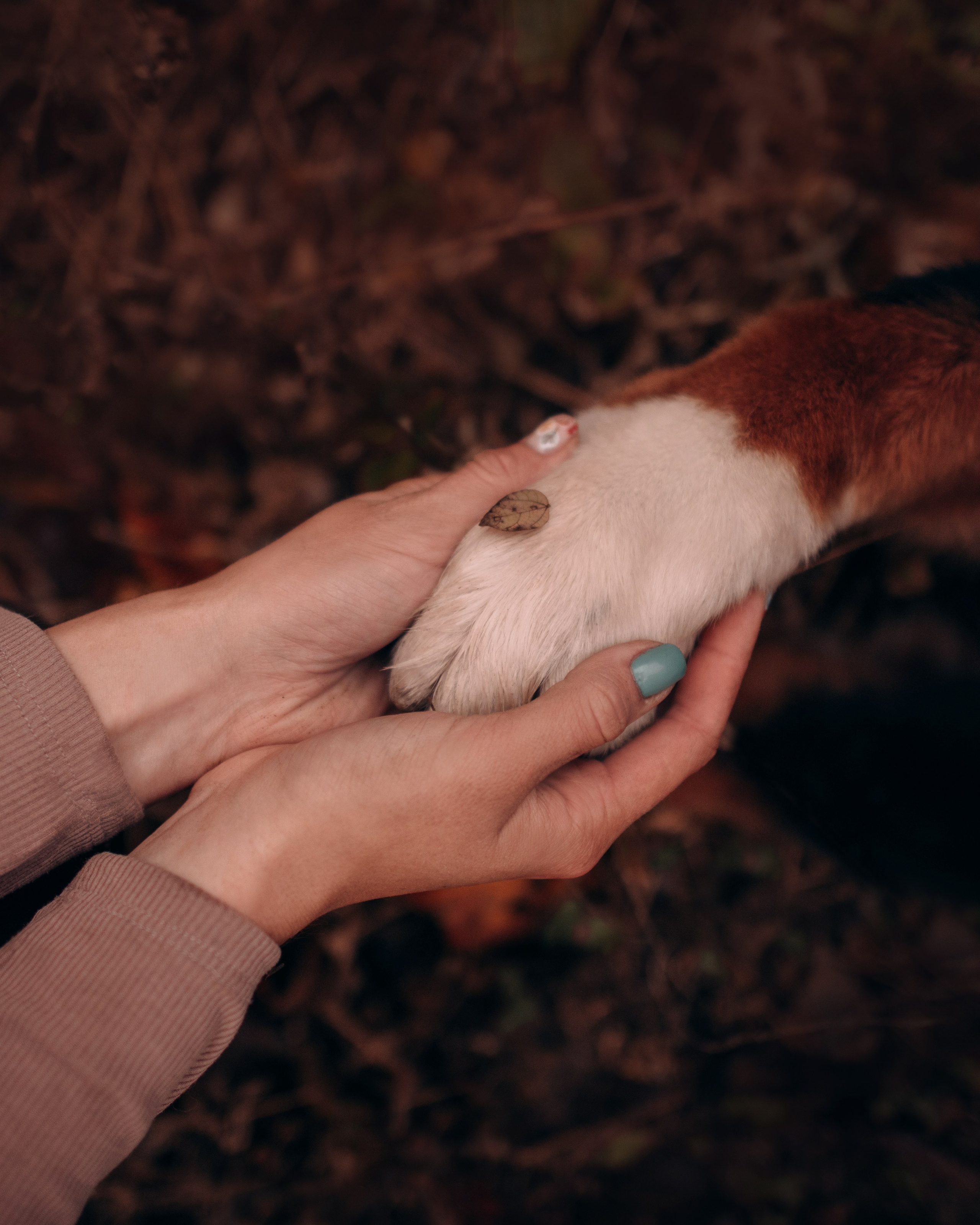 Владивосток: Марс и Маша. Портфолио