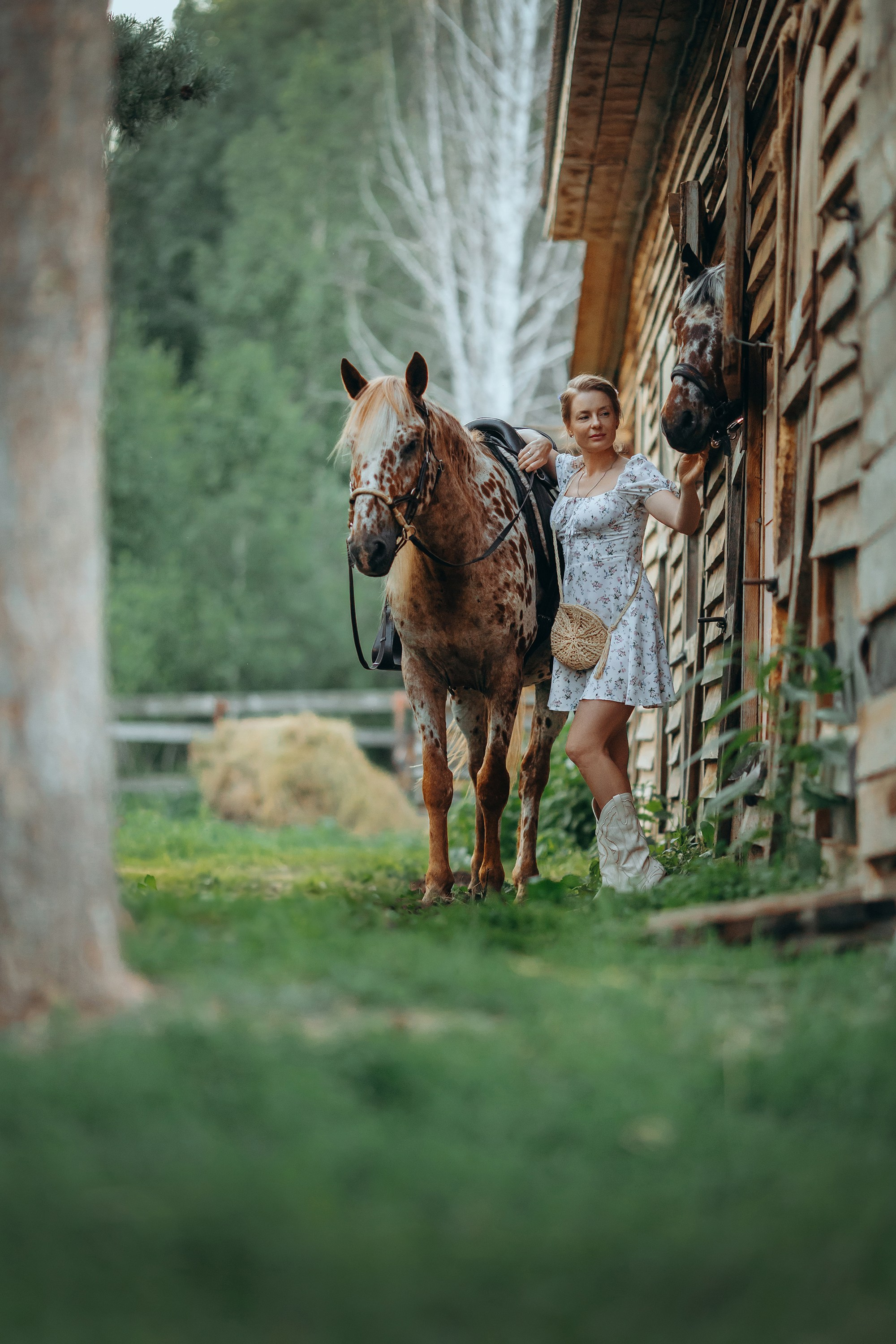 Пятнистая история. Анна Молчанова конный фотограф в Тюмени | фотосессии с лошадьми Тюмень