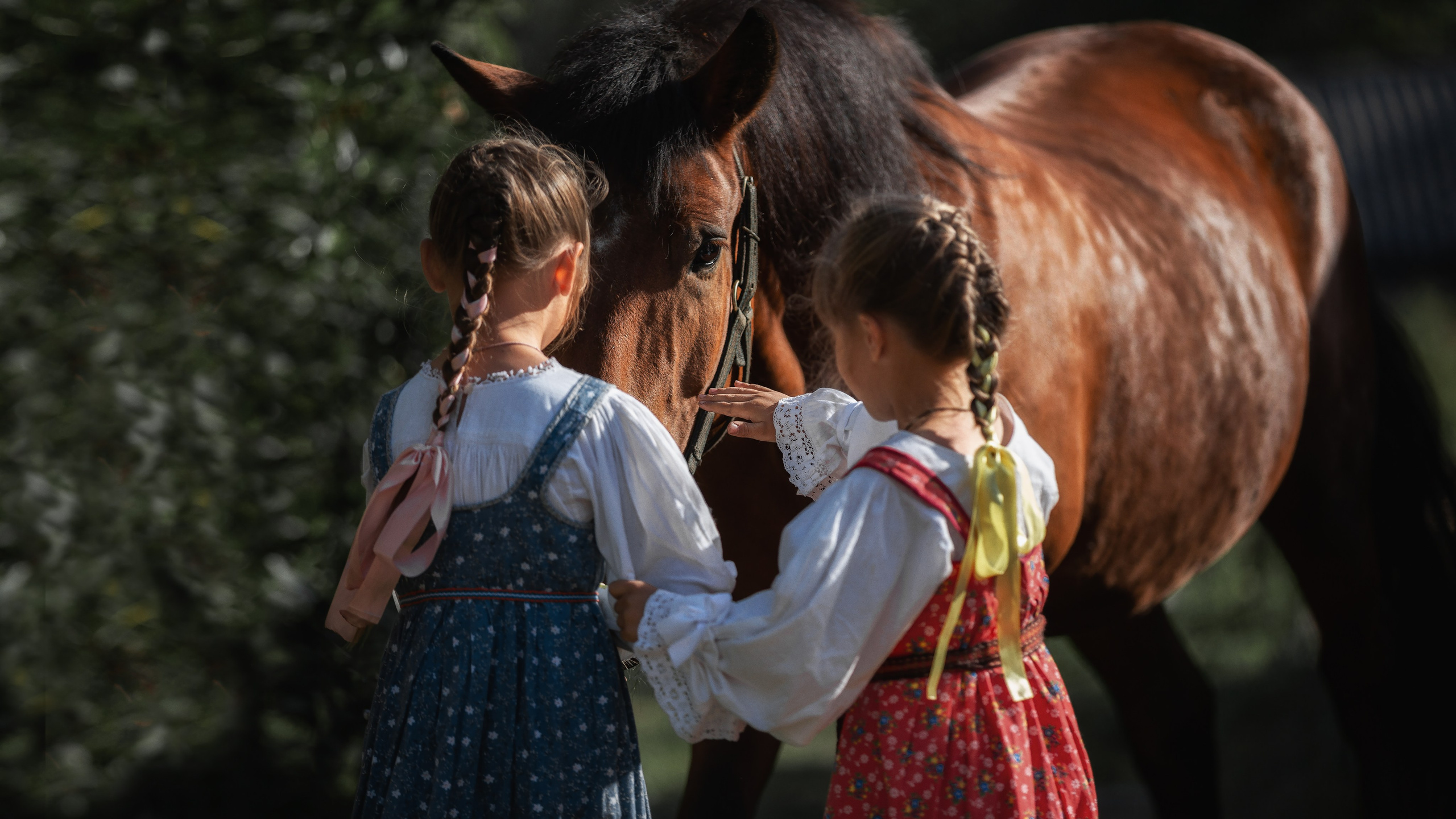 Мечта. Фотограф — путешественник Светлана Романовская