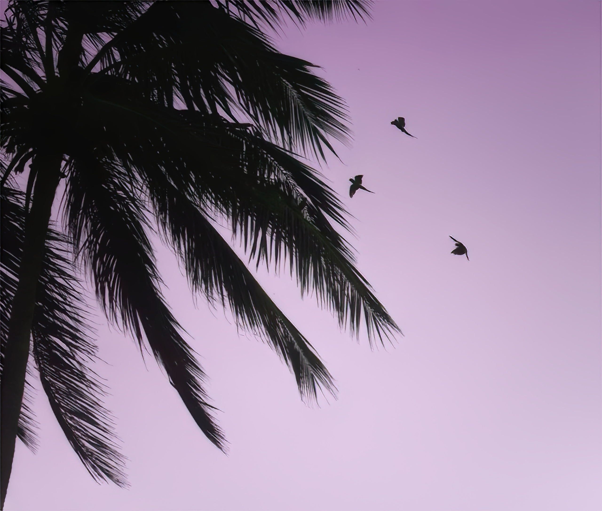 ПРИРОДА. Слепки времени. Фотографии природы и событий. Москва. Сергей Аллагулов