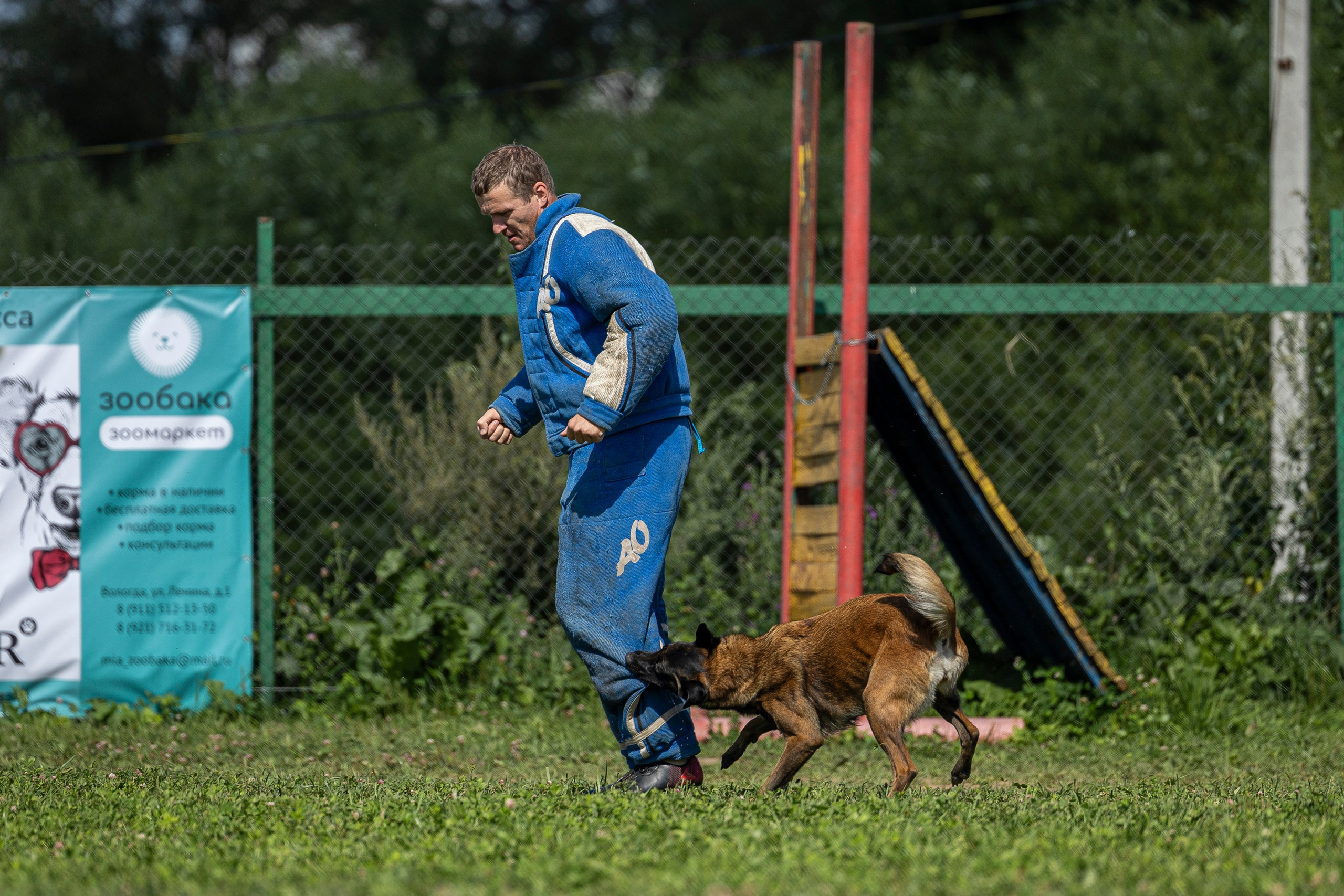 Соревнования по Мондьорингу г. Вологда 10-11.08.2024. Фотограф-анималист Анна Маринич