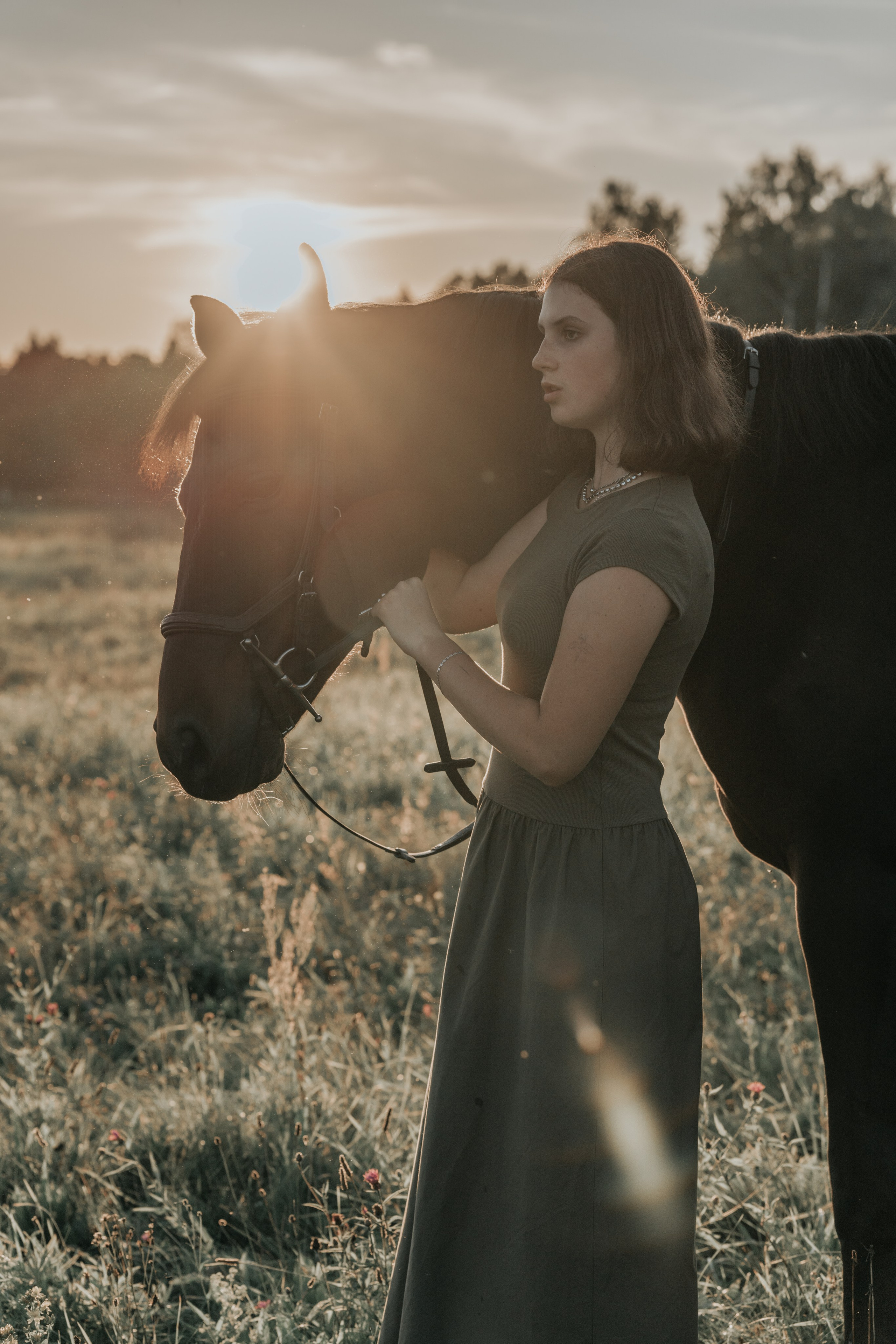 Лошади. Юлия Строганова. Фотограф. Москва