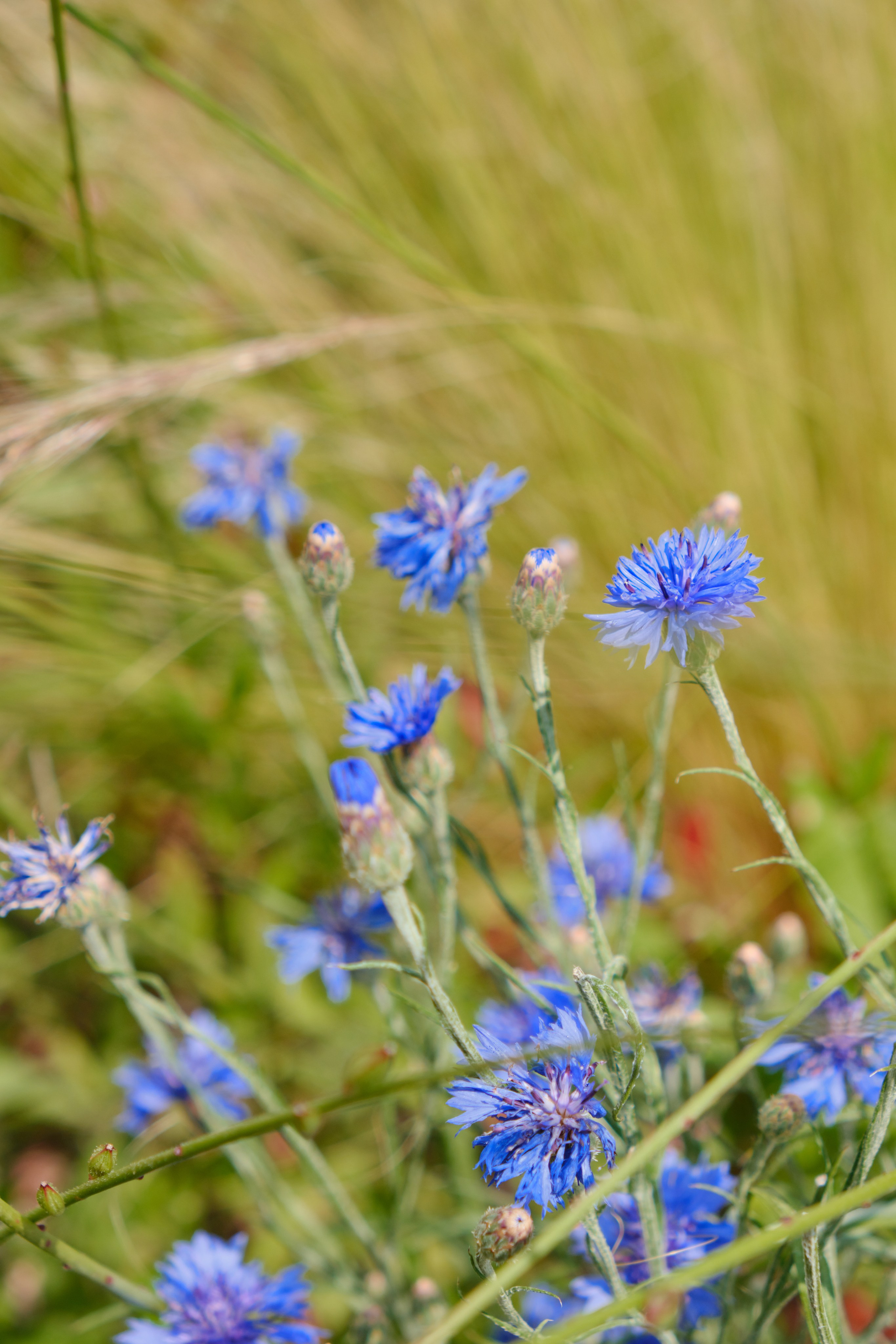 Съёмка контента для Анны. Фото и Видео в Сочи | Власкина Маргарита