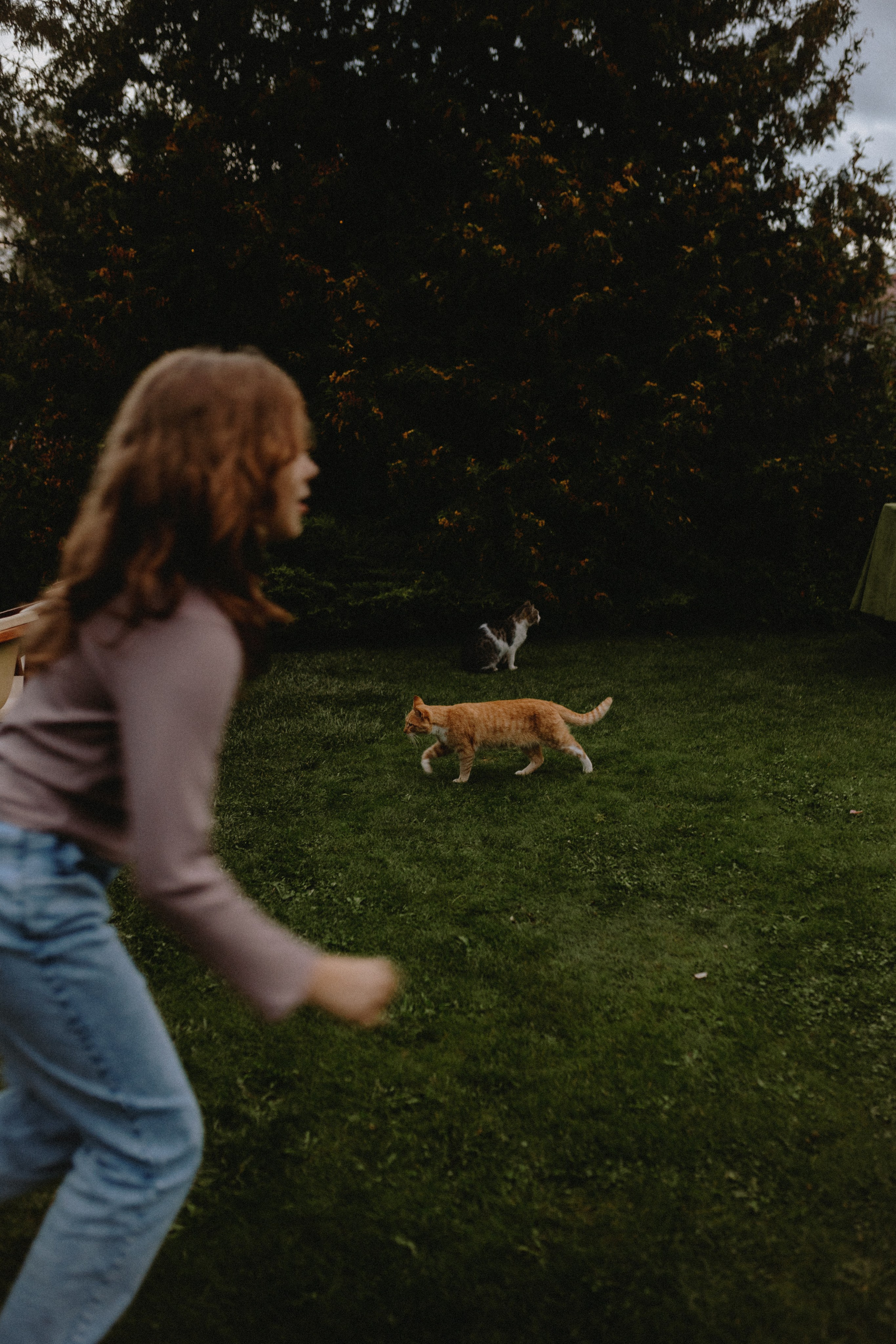 Дима и Настя | Rainy mountain wed | Крым. Свадебный фотограф в Санкт-Петербурге Анастасия Селиванова