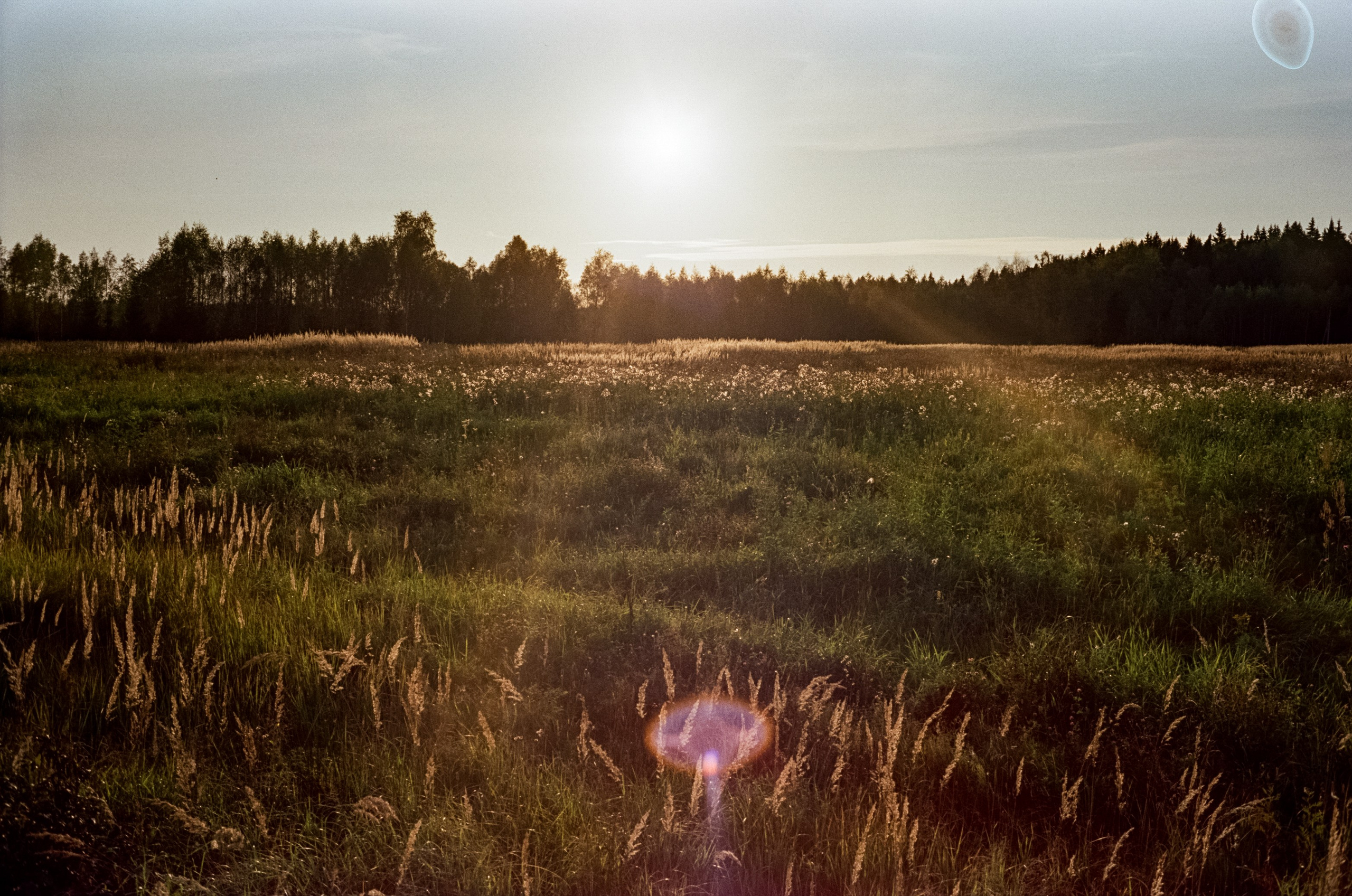 Minolta Hi-Matic 7SII примеры фотографий