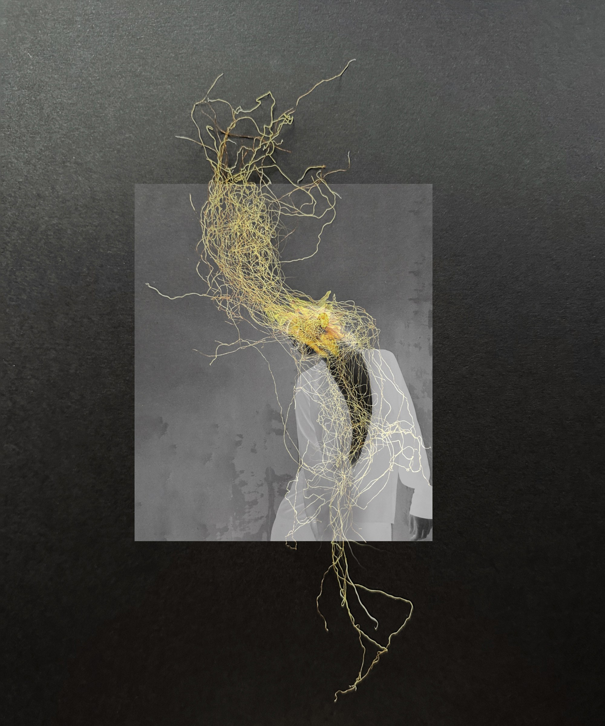 Портфолио. Визуальный художник Ольга Кутерина