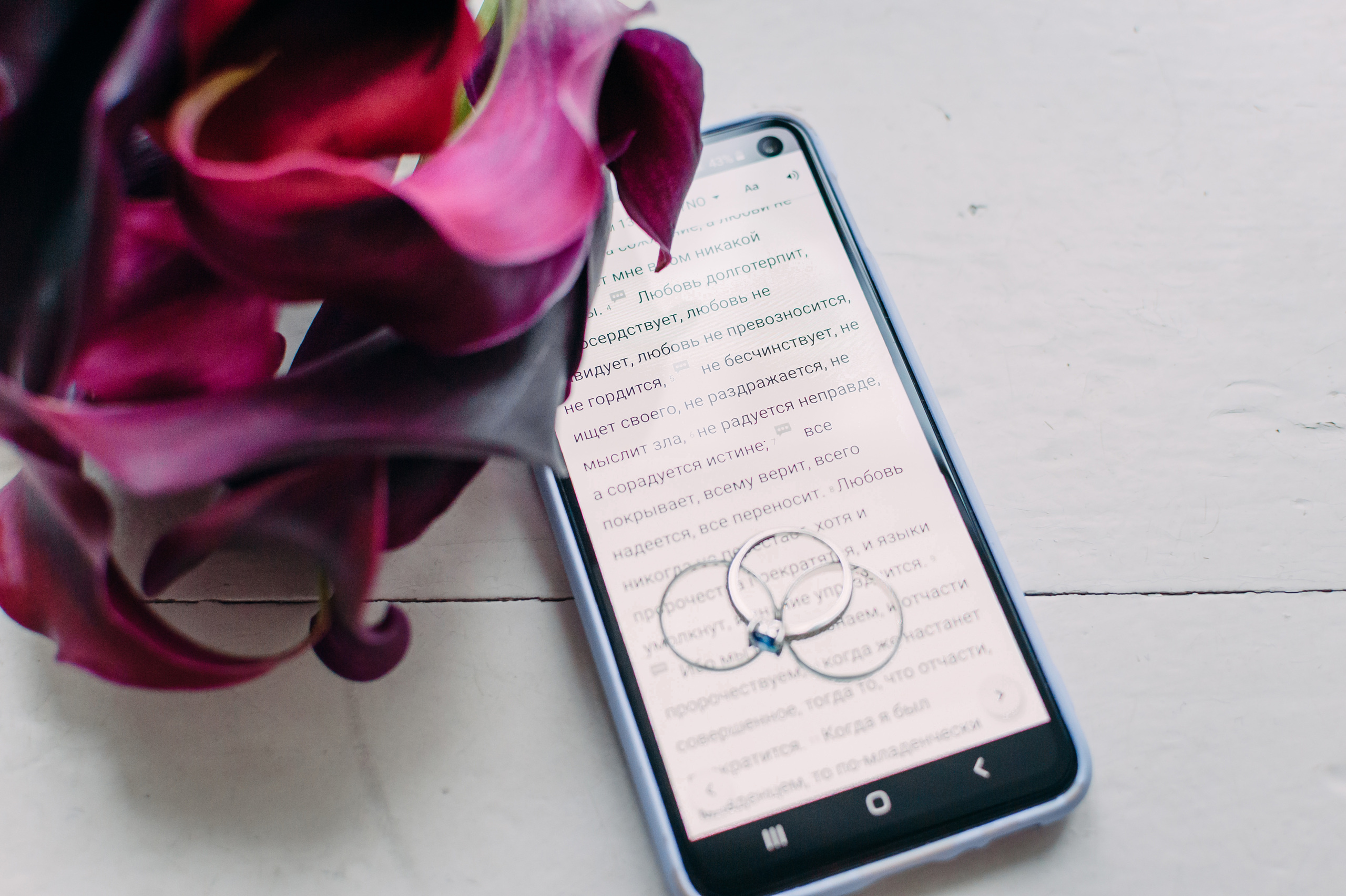 Саша и Диана. Свадебный и семейный фотограф в Москве Юлия Шикалова