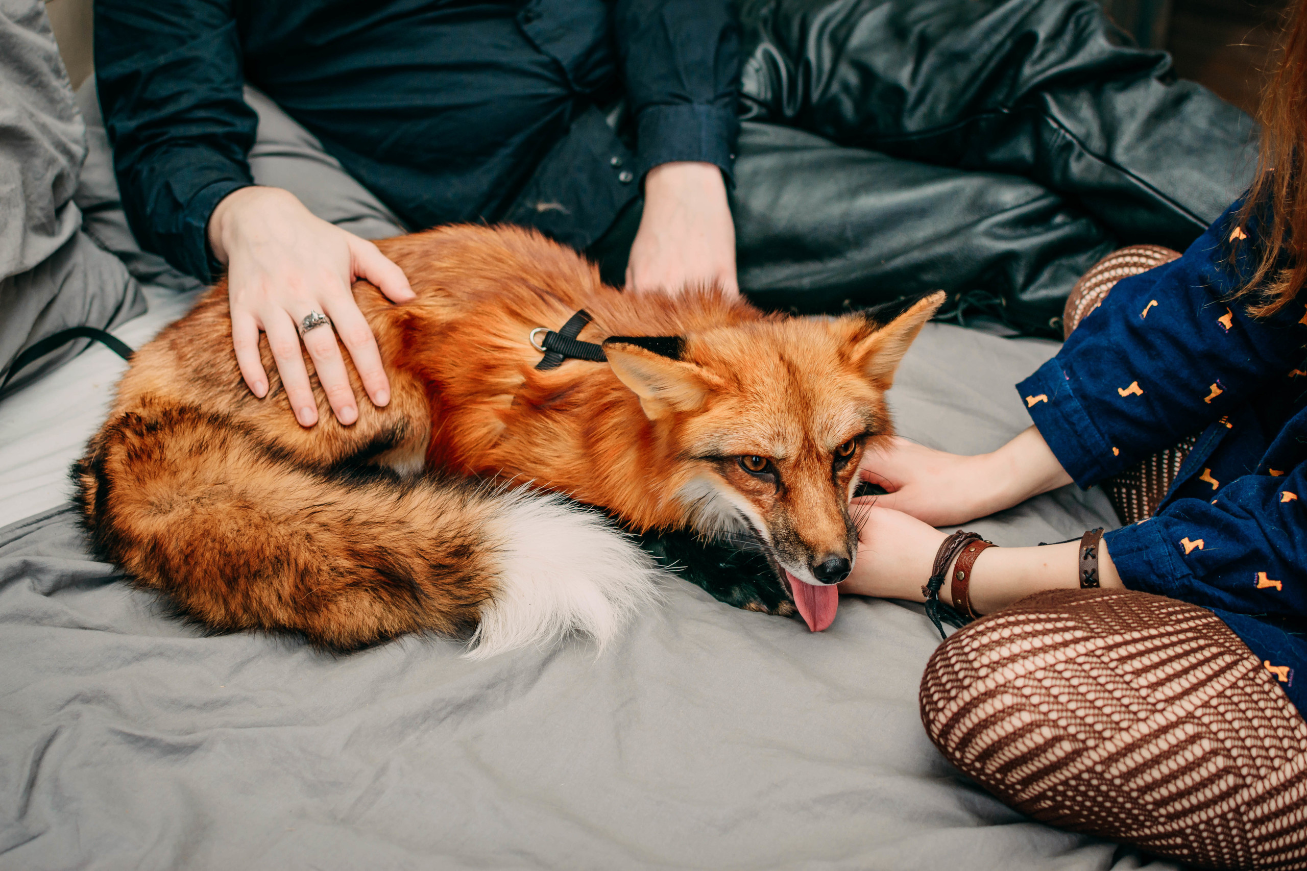 Максим и Маша: lovestory. Свадебный и семейный фотограф в Москве Юлия Шикалова