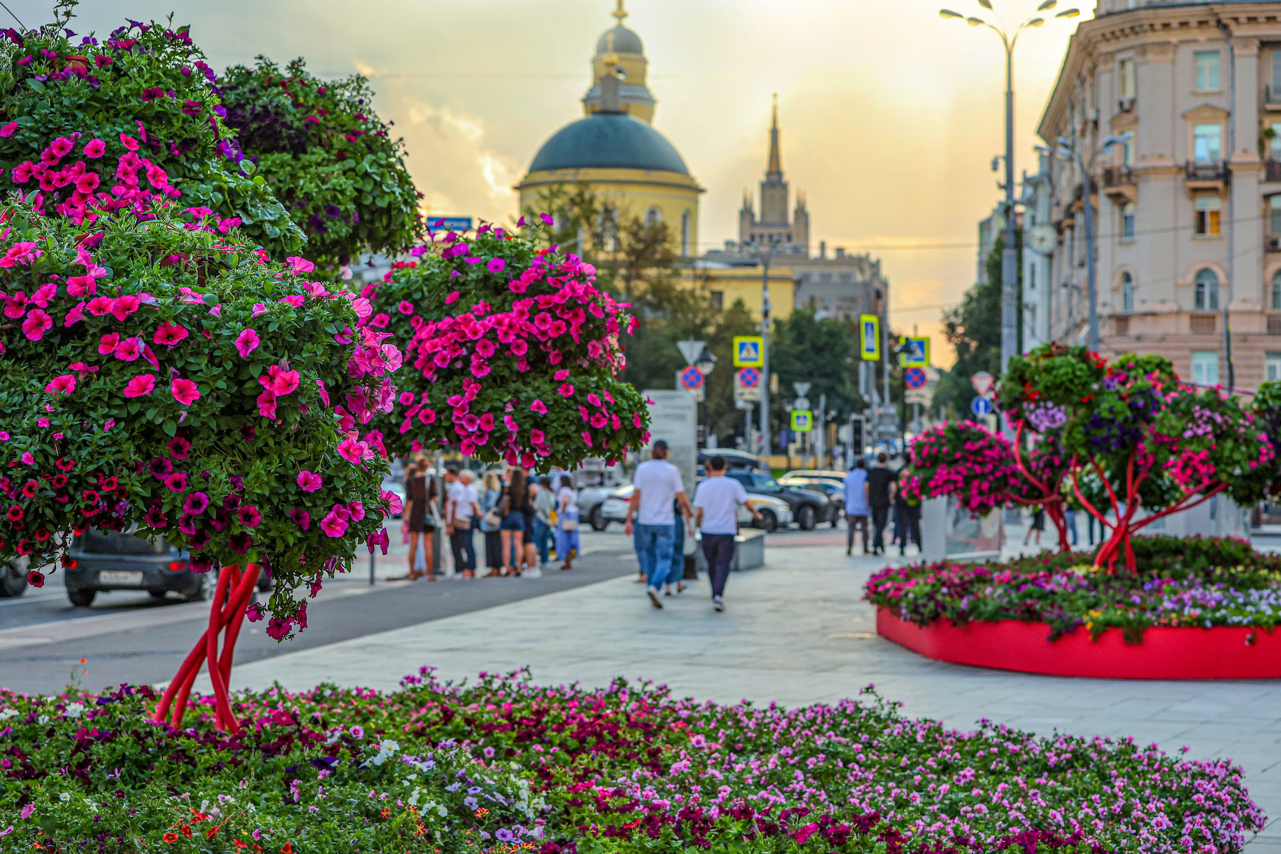 Общественные пространства. Ландшафтный фотограф Андрей Лысиков, Москва